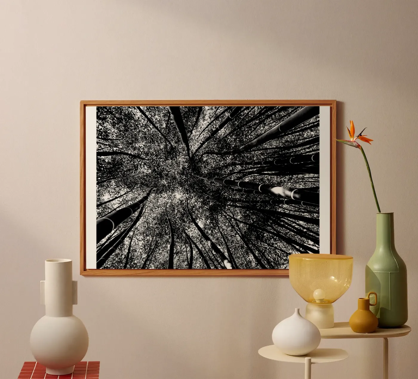 alberi pannello forex da Massimo Frascogna