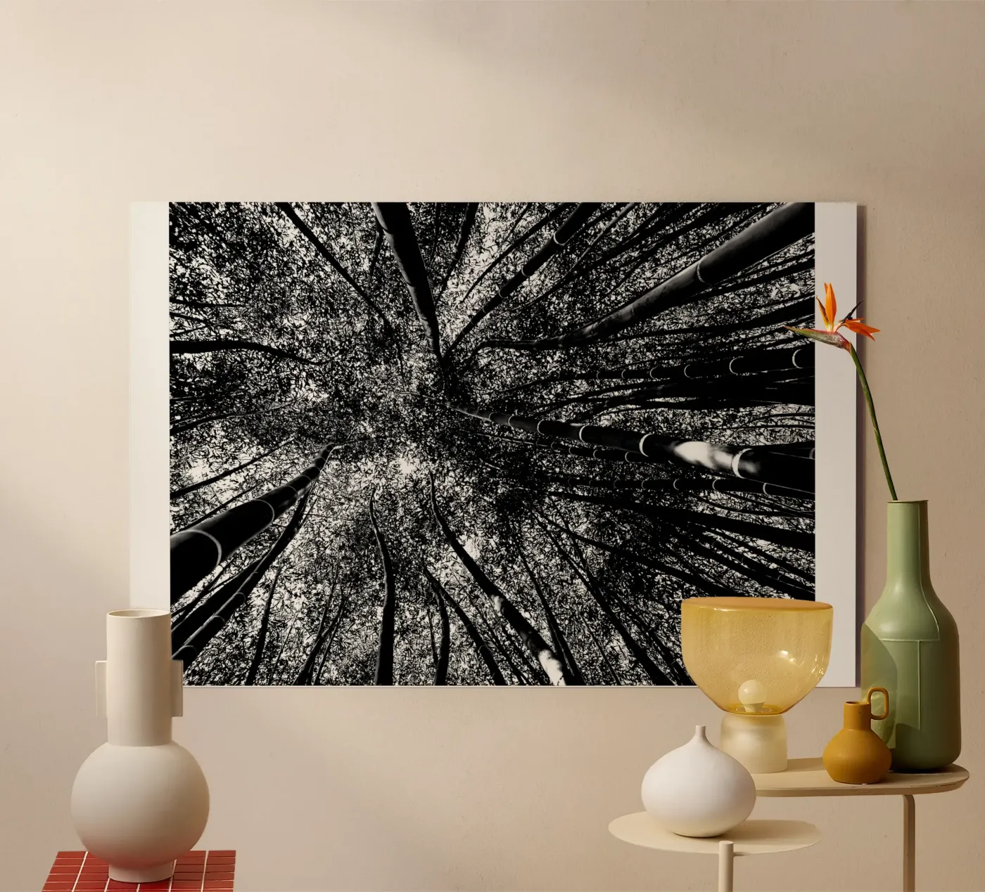 alberi pannello forex da Massimo Frascogna