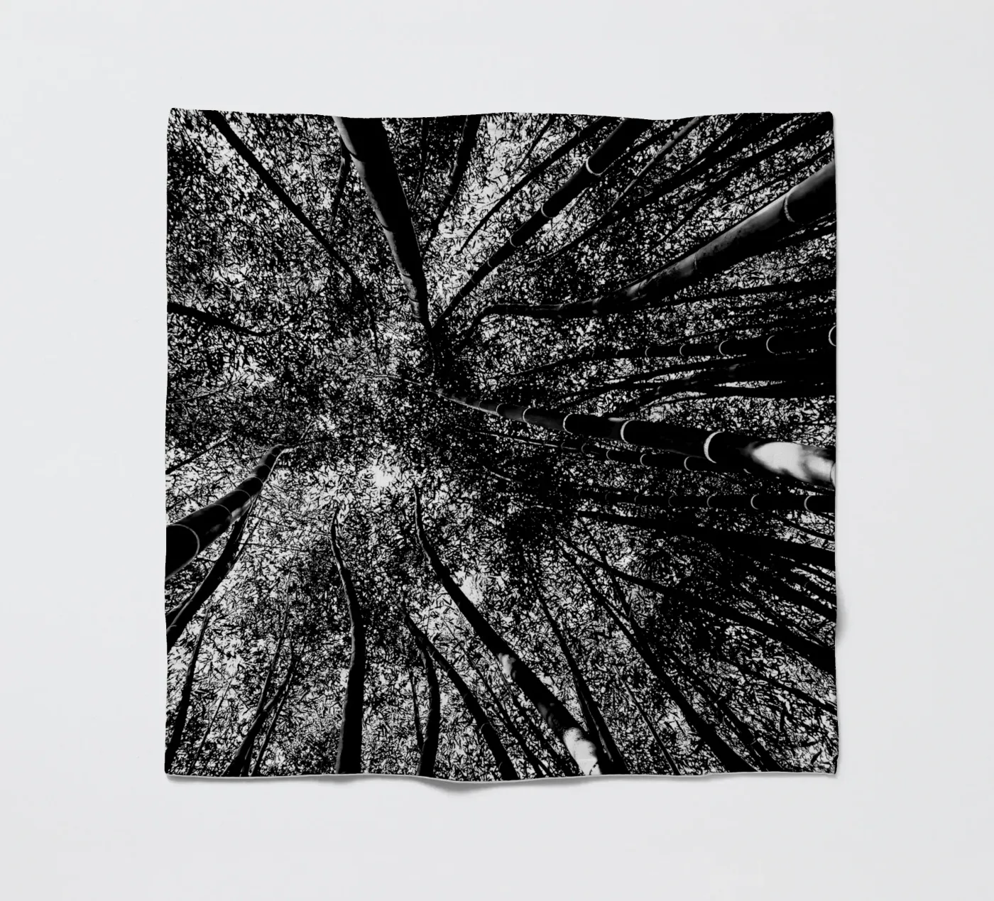 bomen fleecedeken van Massimo Frascogna