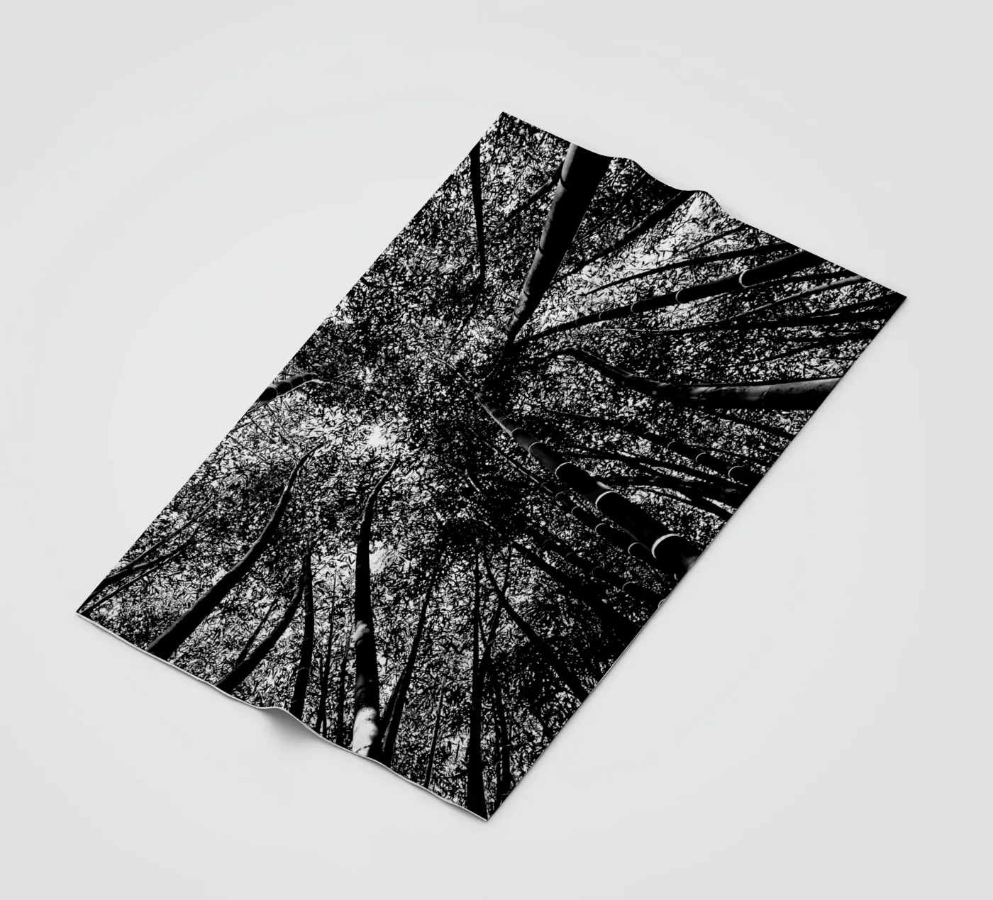 bomen fleecedeken van Massimo Frascogna