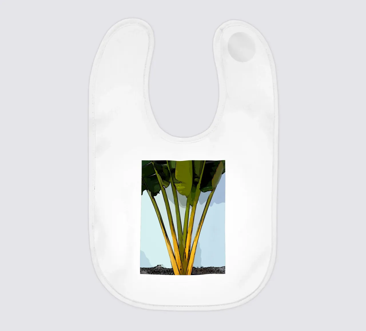 Impianto bavaglino da Massimo Frascogna