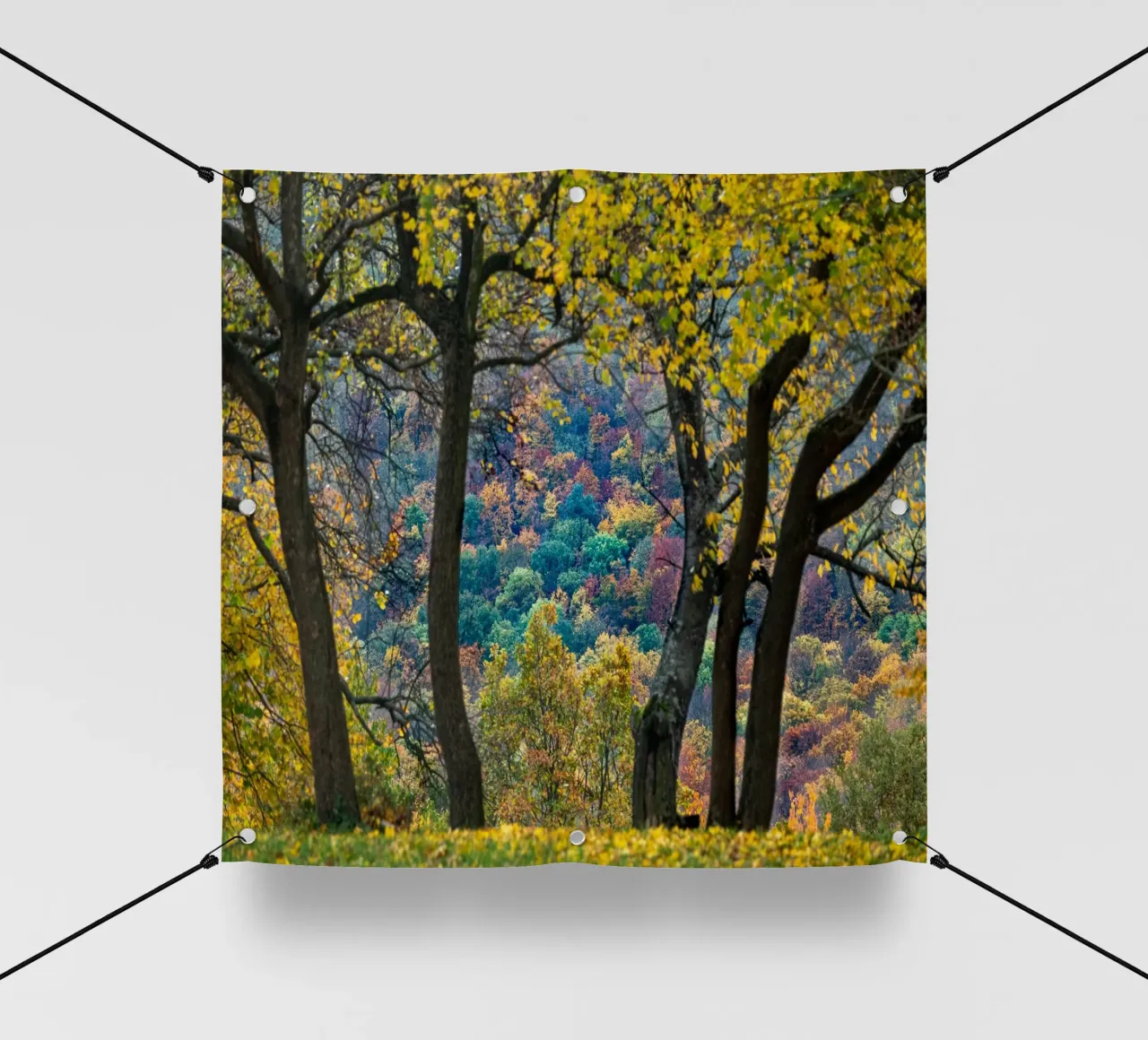 Colori d'autunno telo in pvc da anderm