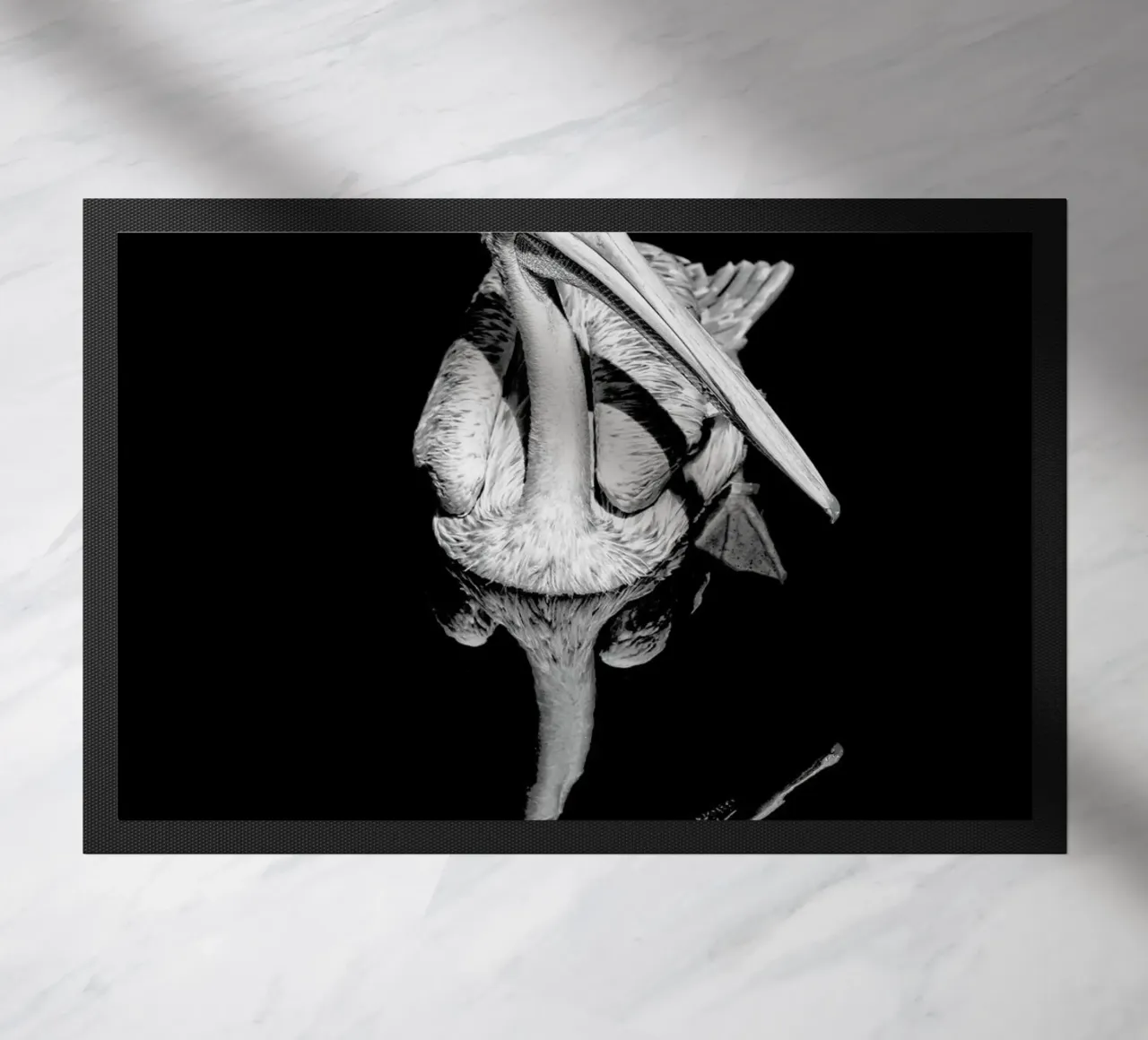 The equated zerbino da Efacts Photography