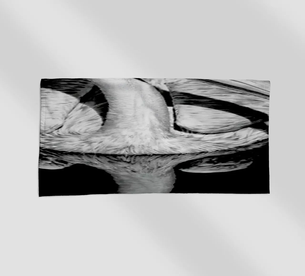 The equated telo mare da Efacts Photography