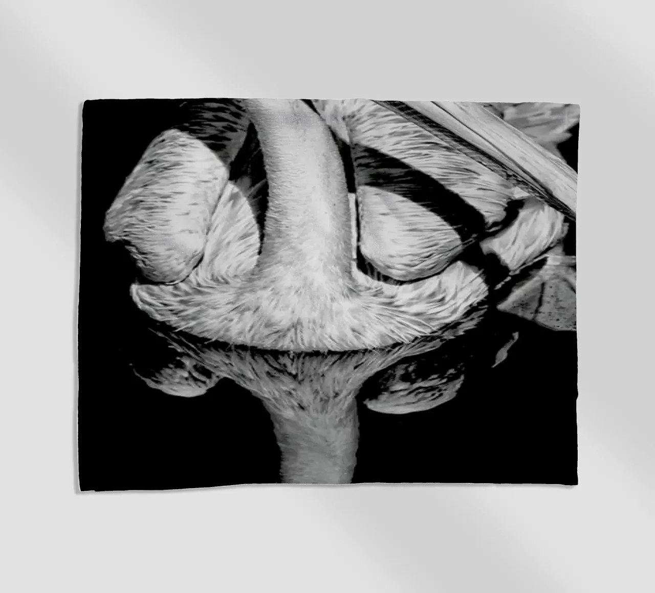 The equated telo mare da Efacts Photography