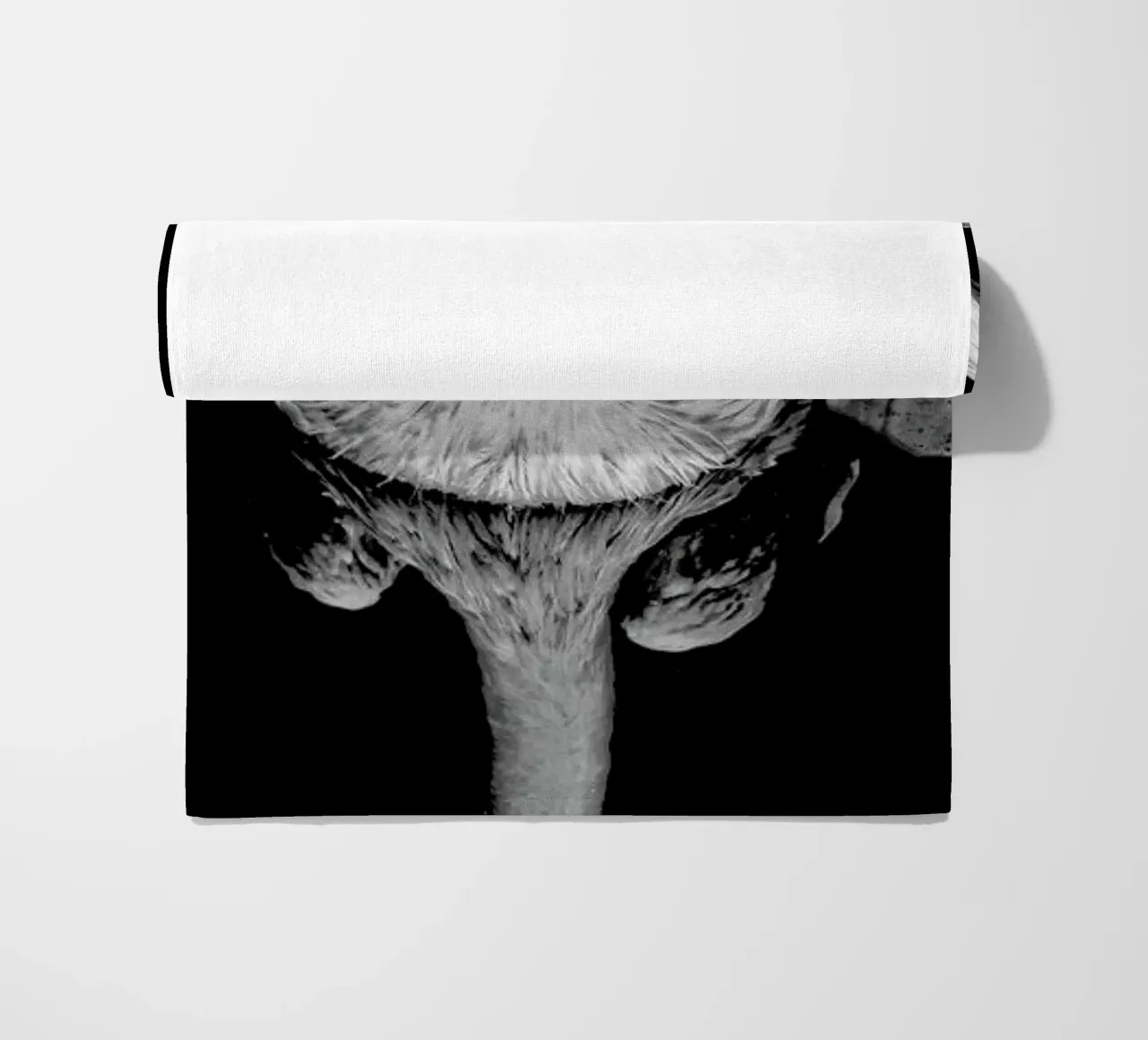 The equated telo mare da Efacts Photography