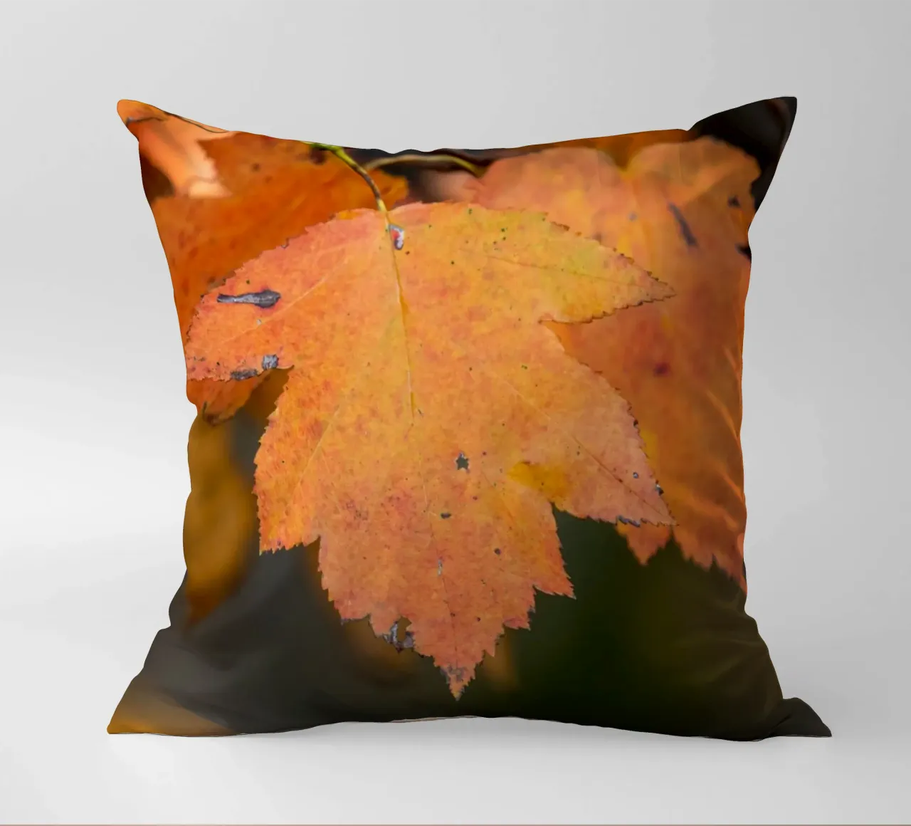 Foglia d'autunno cuscino da anderm