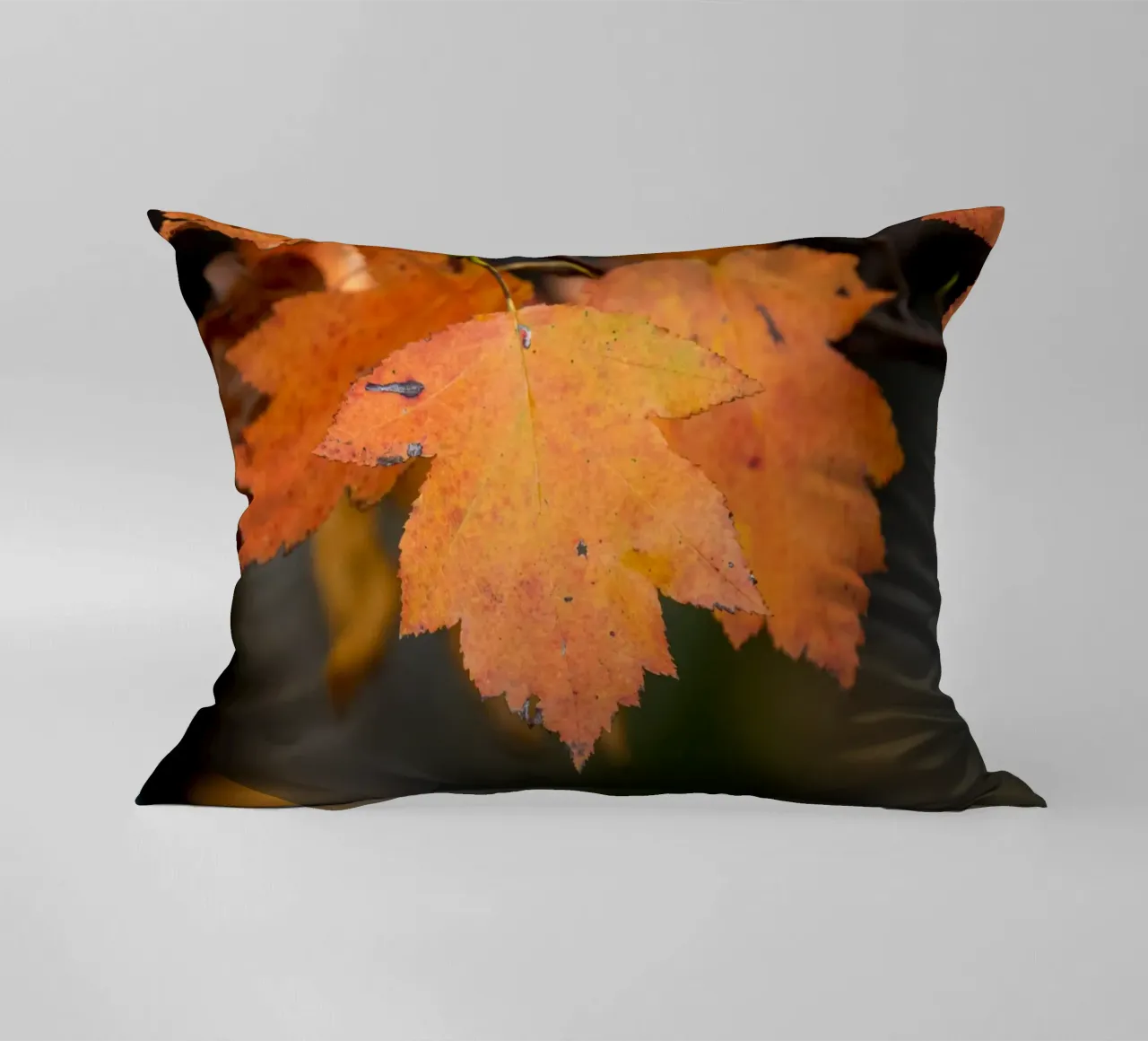Foglia d'autunno cuscino da anderm