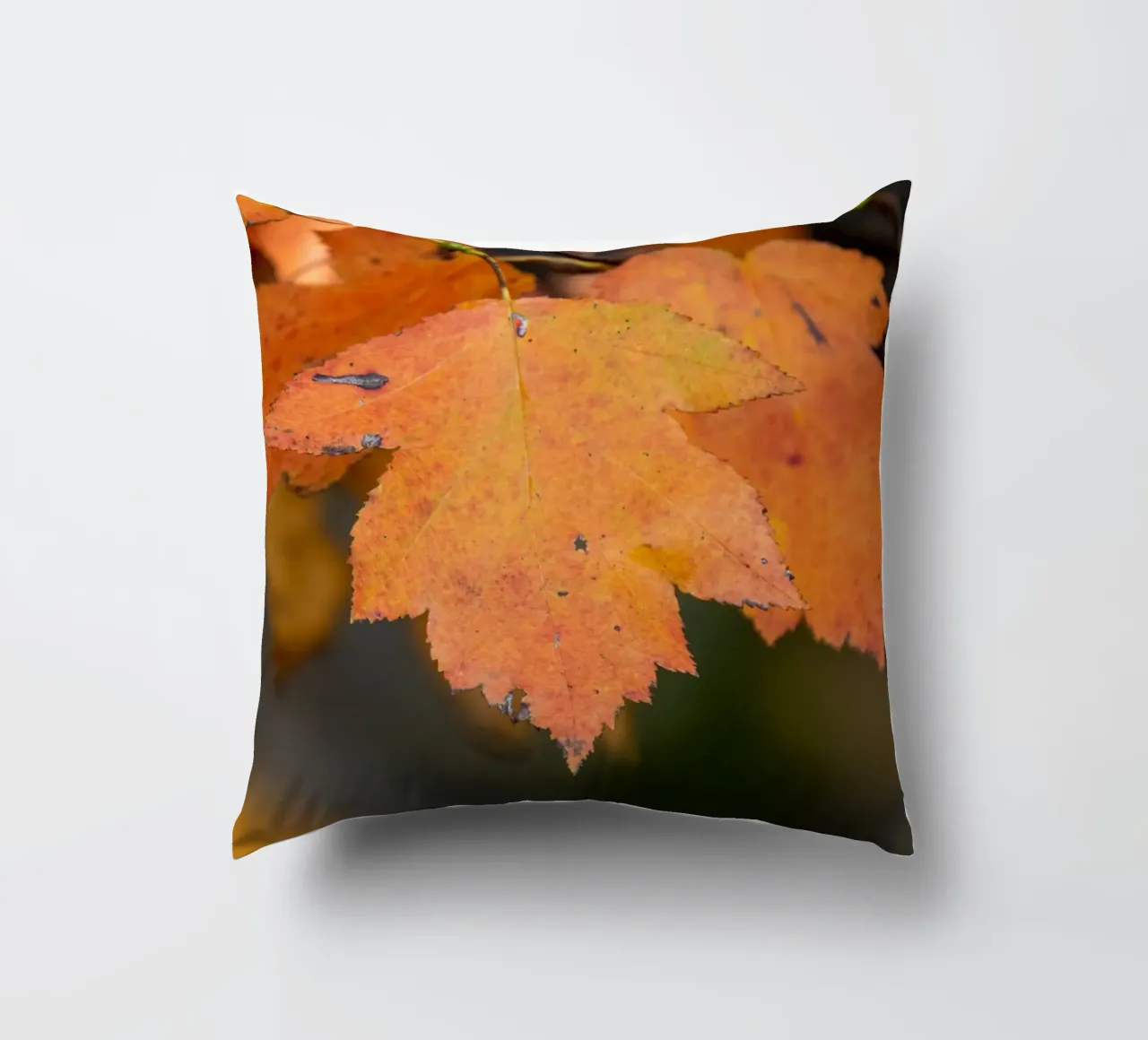 Foglia d'autunno cuscino da anderm
