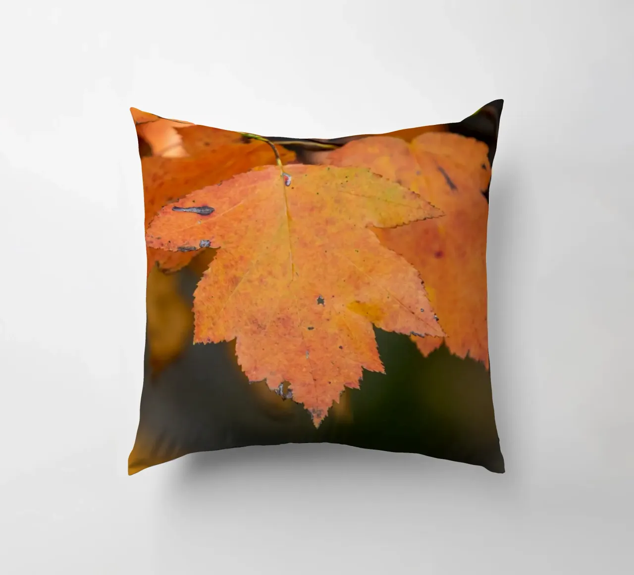 Foglia d'autunno cuscino da anderm