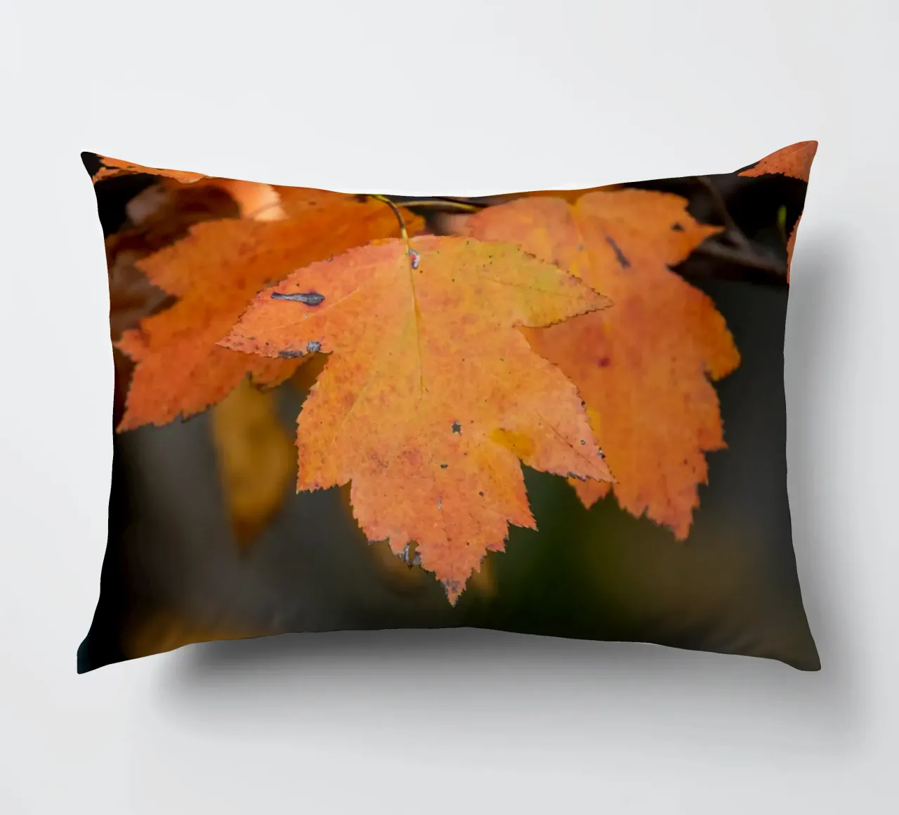 Foglia d'autunno cuscino da anderm