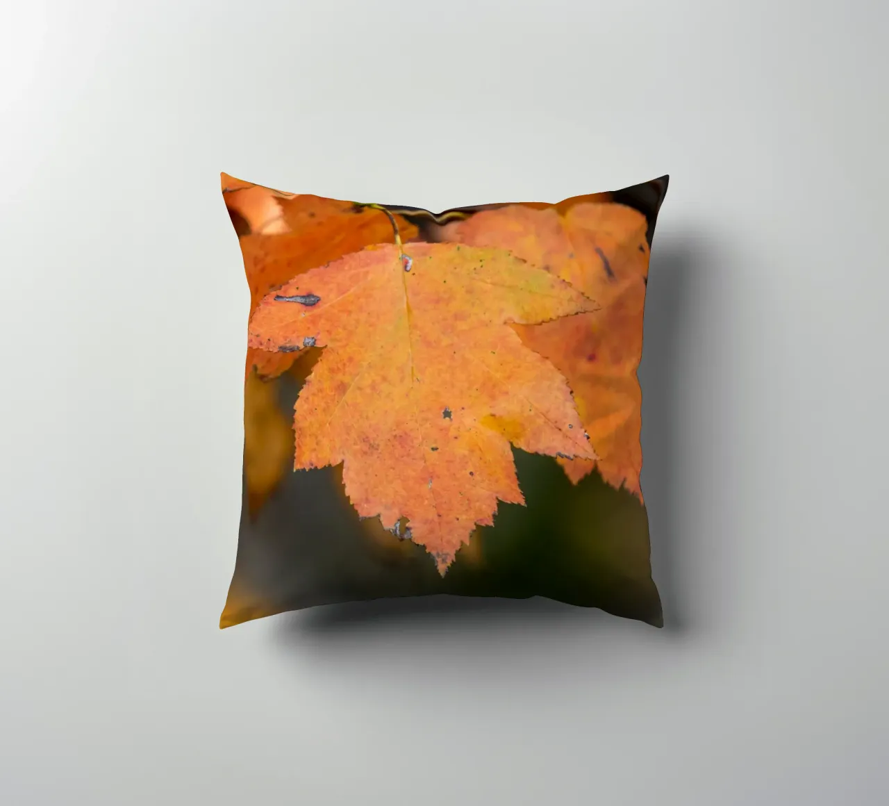 Foglia d'autunno cuscino da anderm
