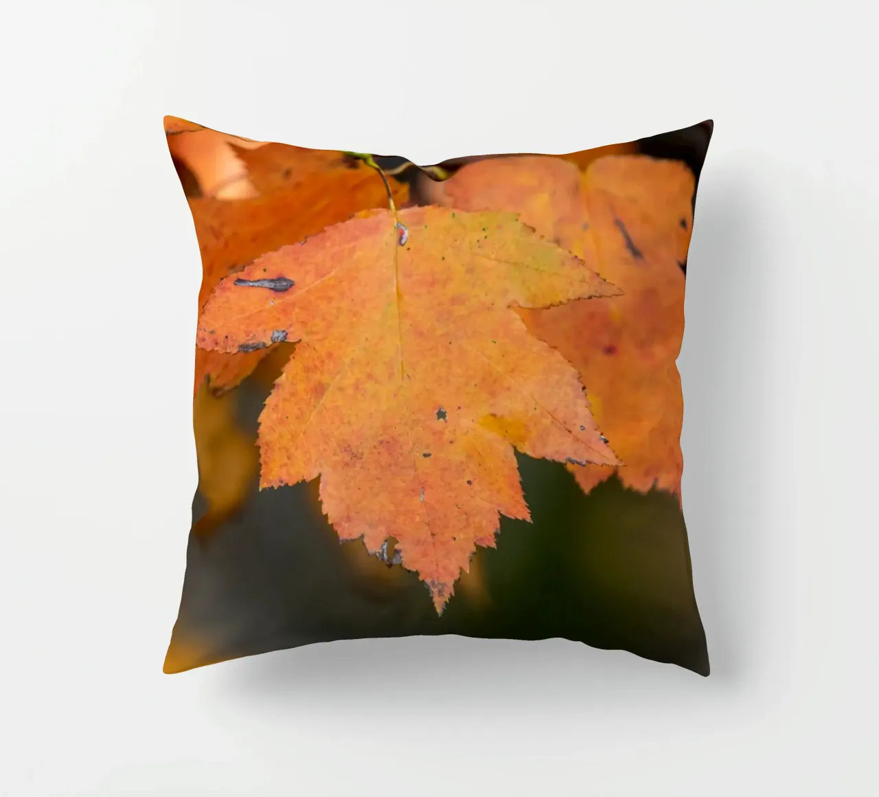 Foglia d'autunno cuscino da anderm