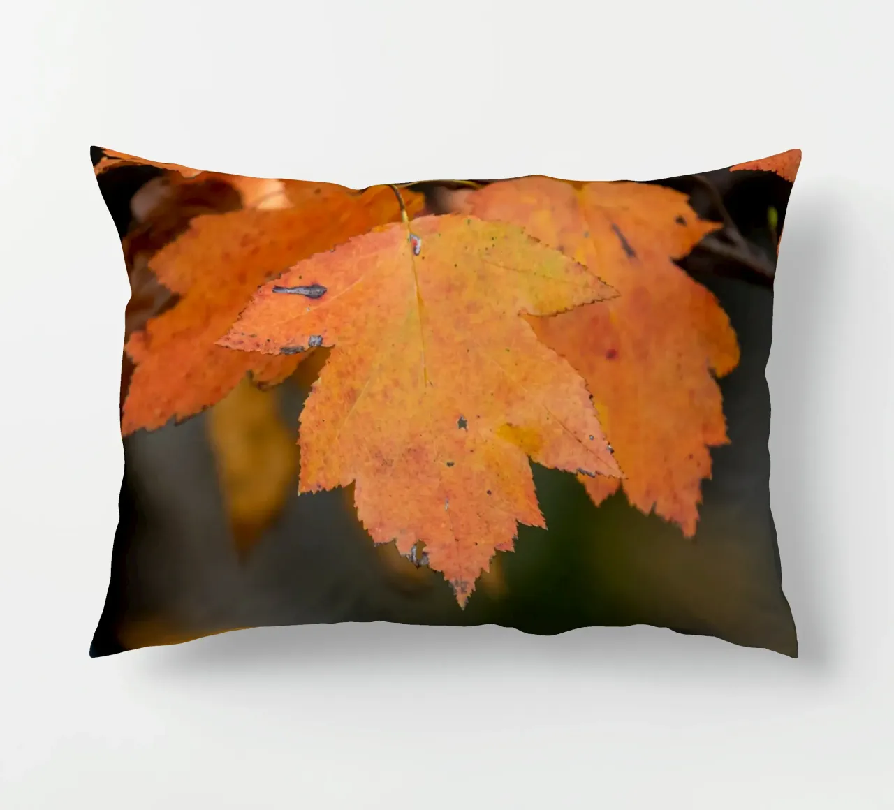 Foglia d'autunno cuscino da anderm