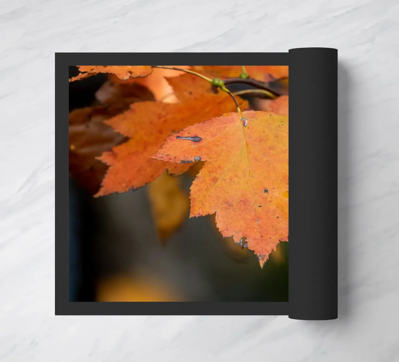 Foglia d'autunno zerbino da anderm