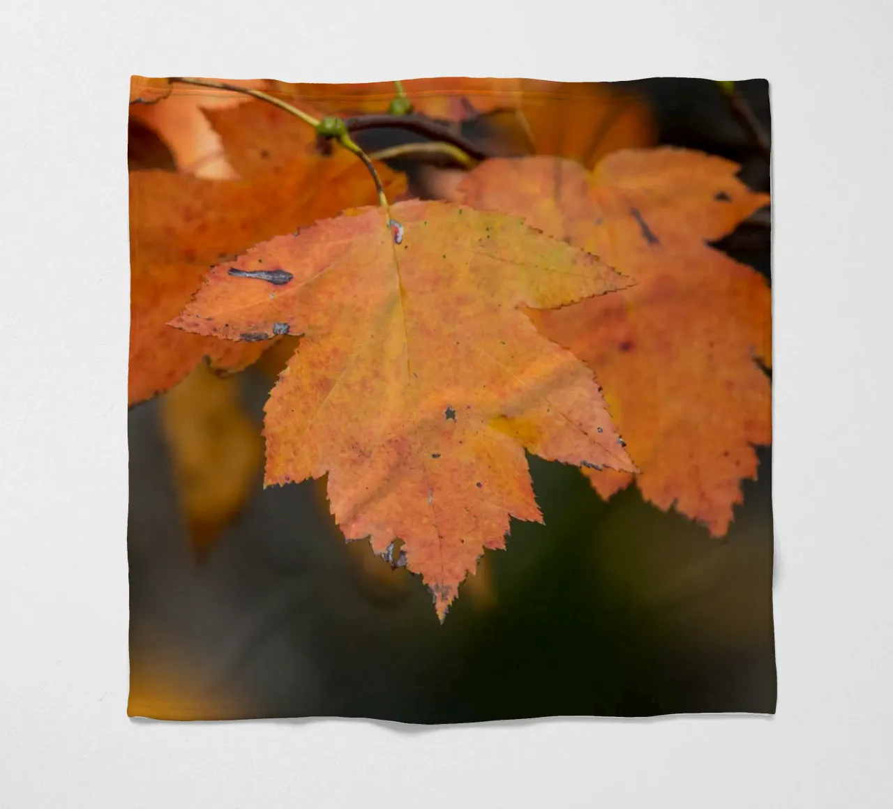 Foglia d'autunno coperta in pile da anderm