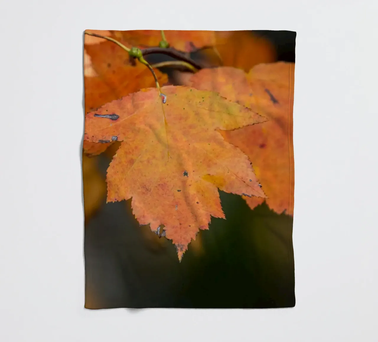 Foglia d'autunno coperta in pile da anderm