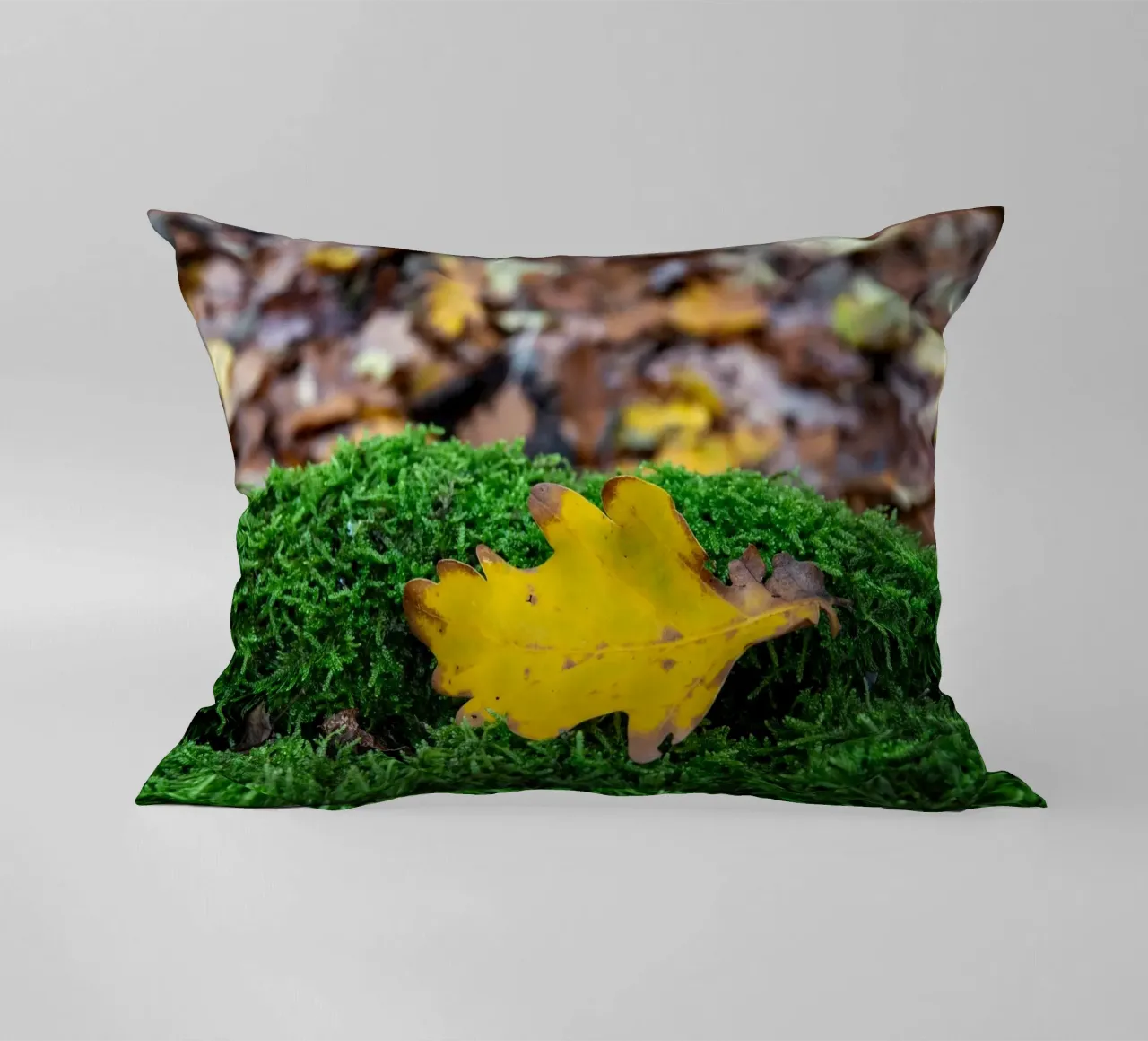 Feuille jaune sur mousse verte coussin de anderm