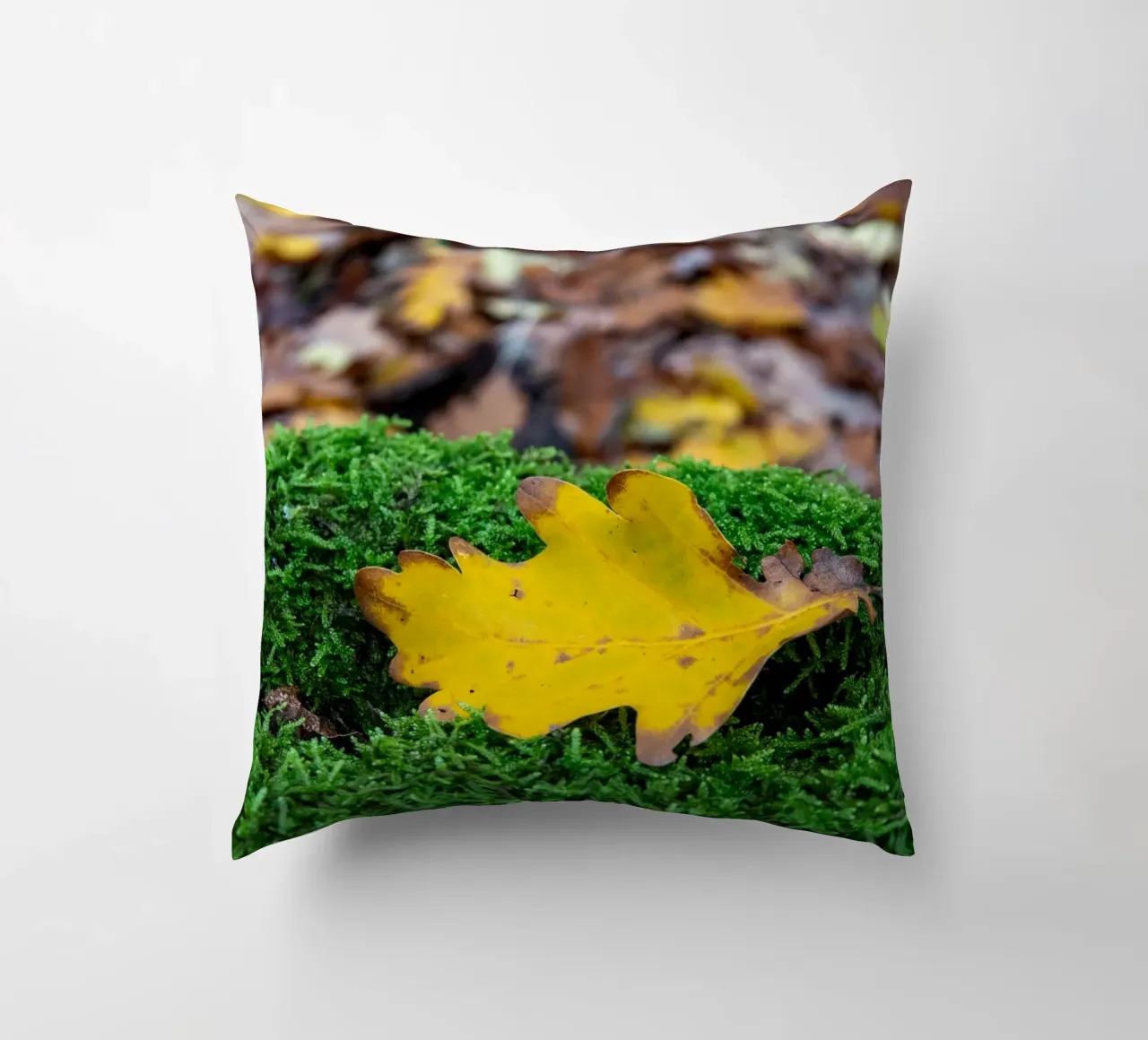 Feuille jaune sur mousse verte coussin de anderm