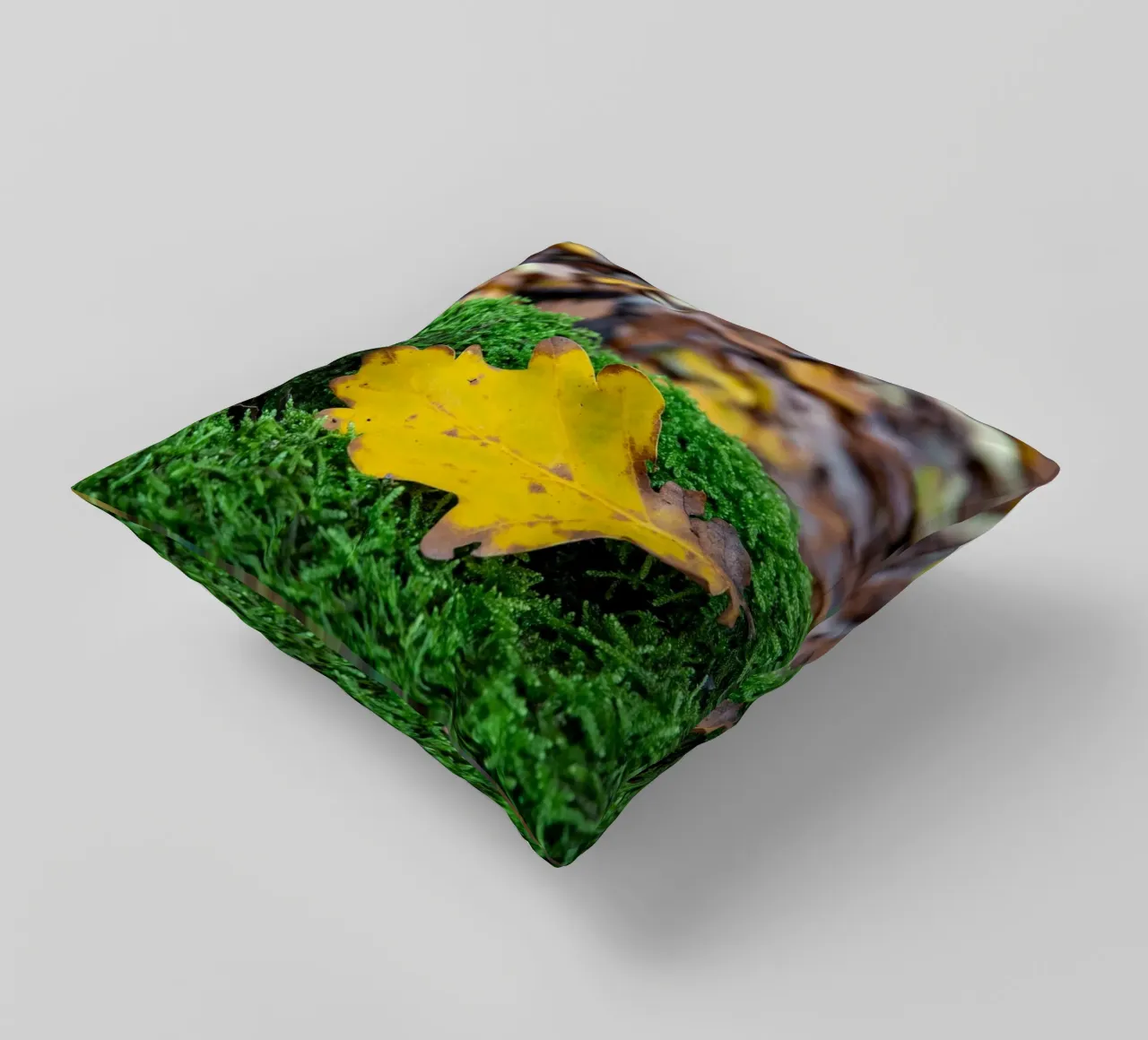 Feuille jaune sur mousse verte coussin de anderm