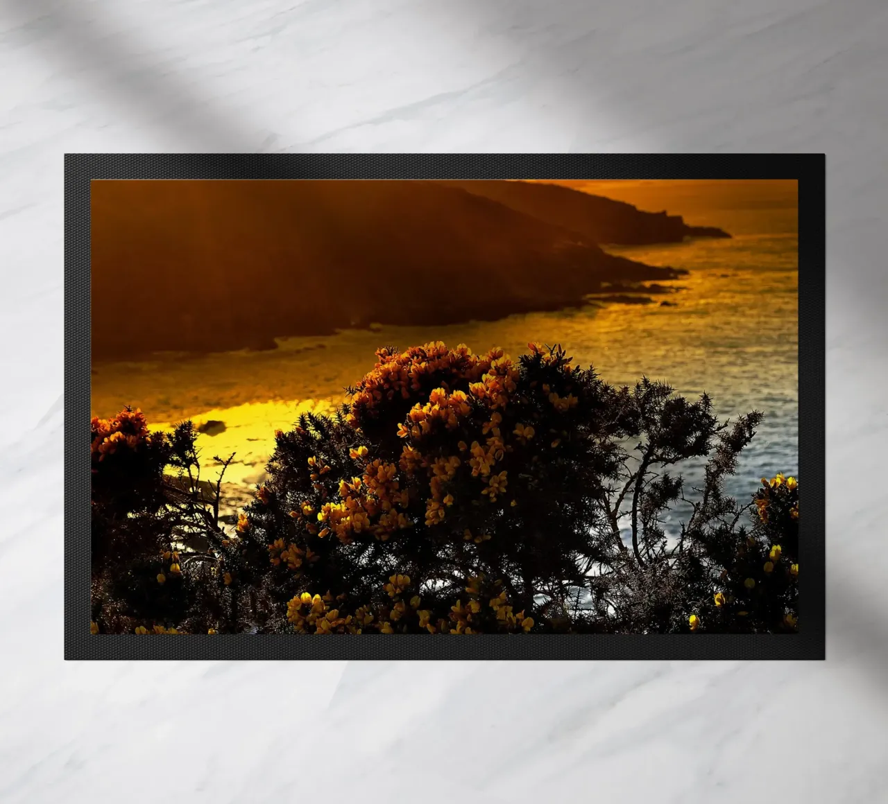 FAA152 zerbino da Thierry vobmann photography