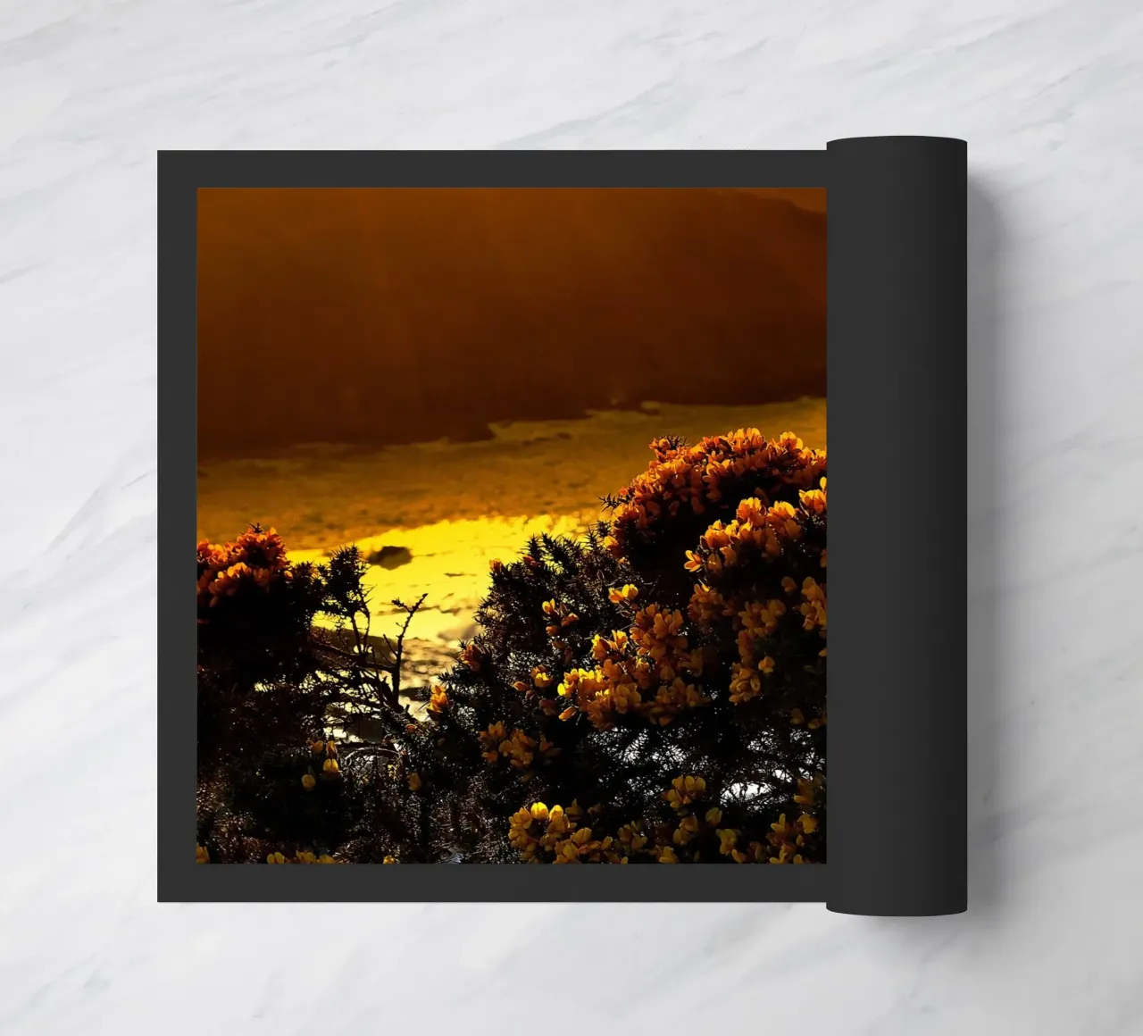 FAA152 zerbino da Thierry vobmann photography