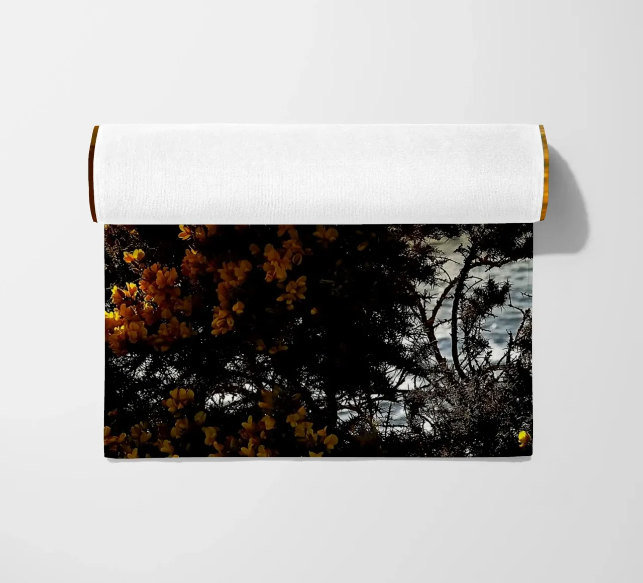 FAA152 telo mare da Thierry vobmann photography