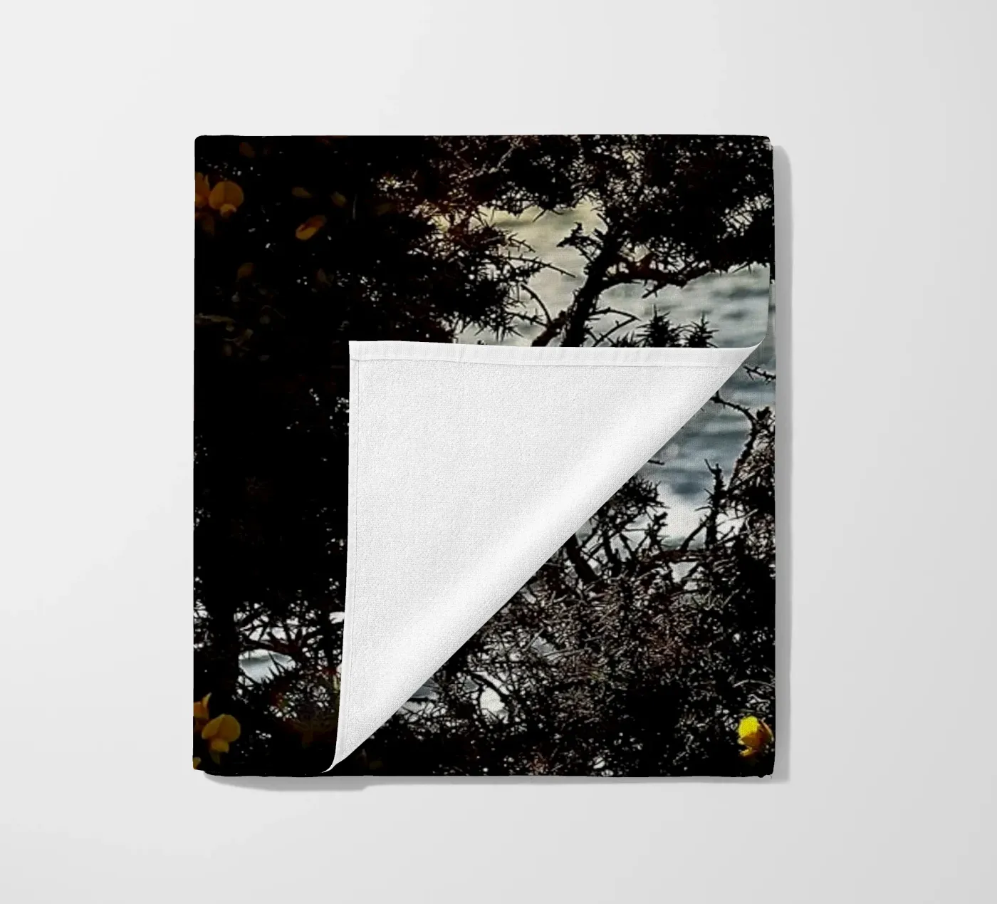 FAA152 telo mare da Thierry vobmann photography