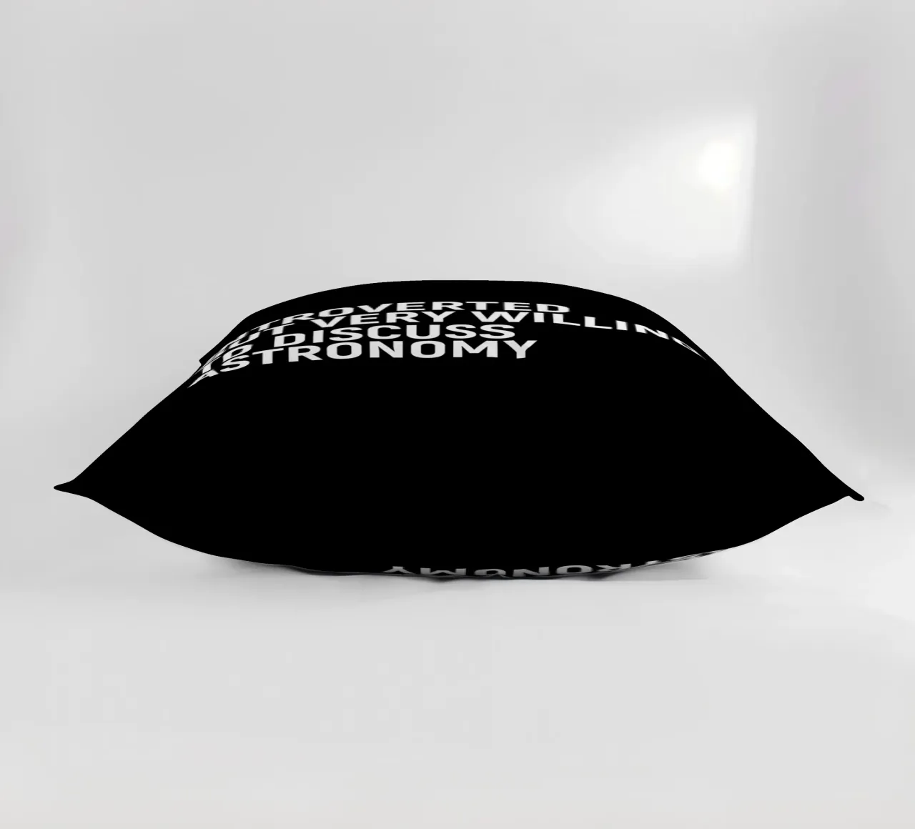 Introverted but very willing to discuss astronomy coussin de happieeagle