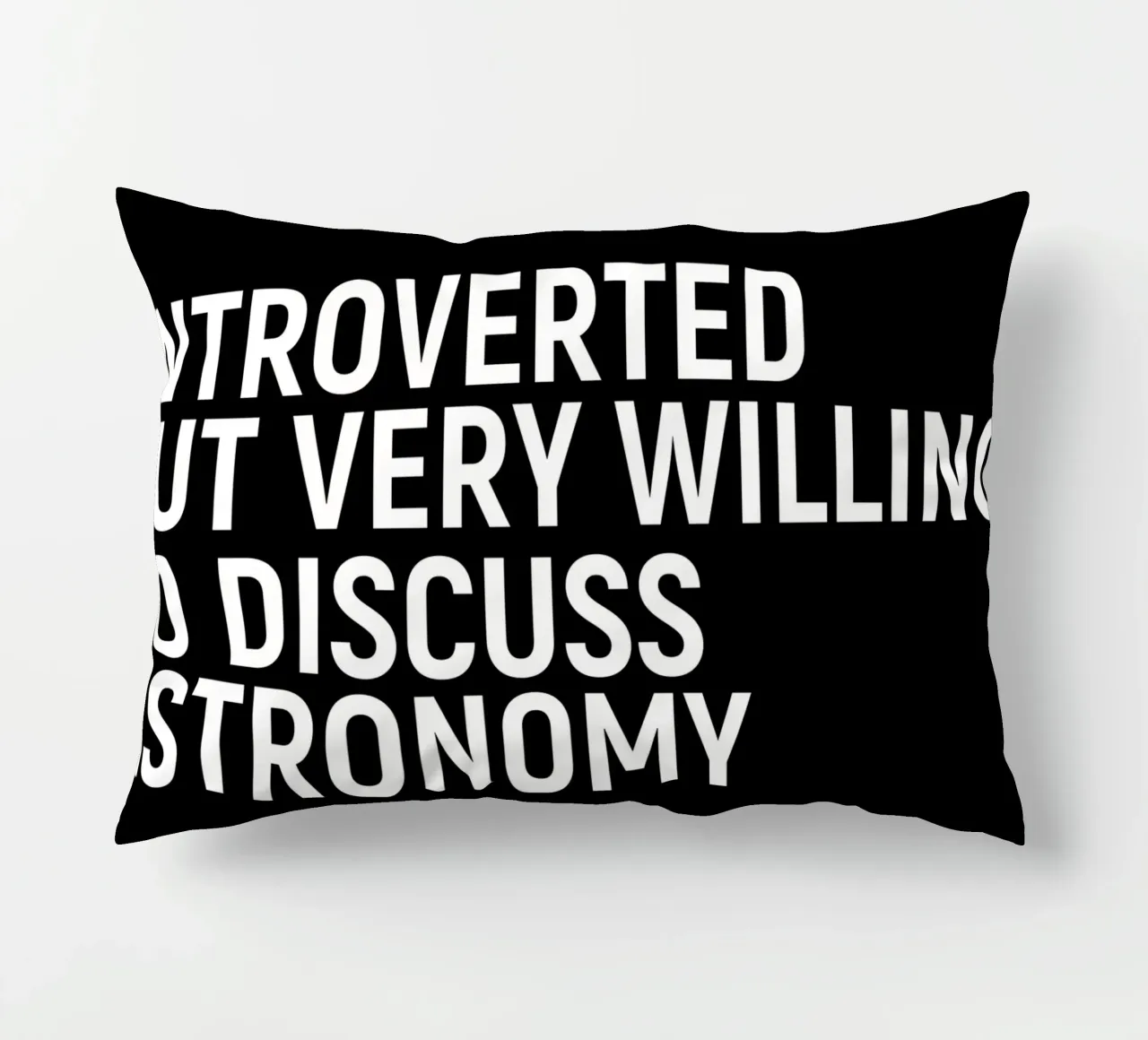 Introverted but very willing to discuss astronomy coussin de happieeagle
