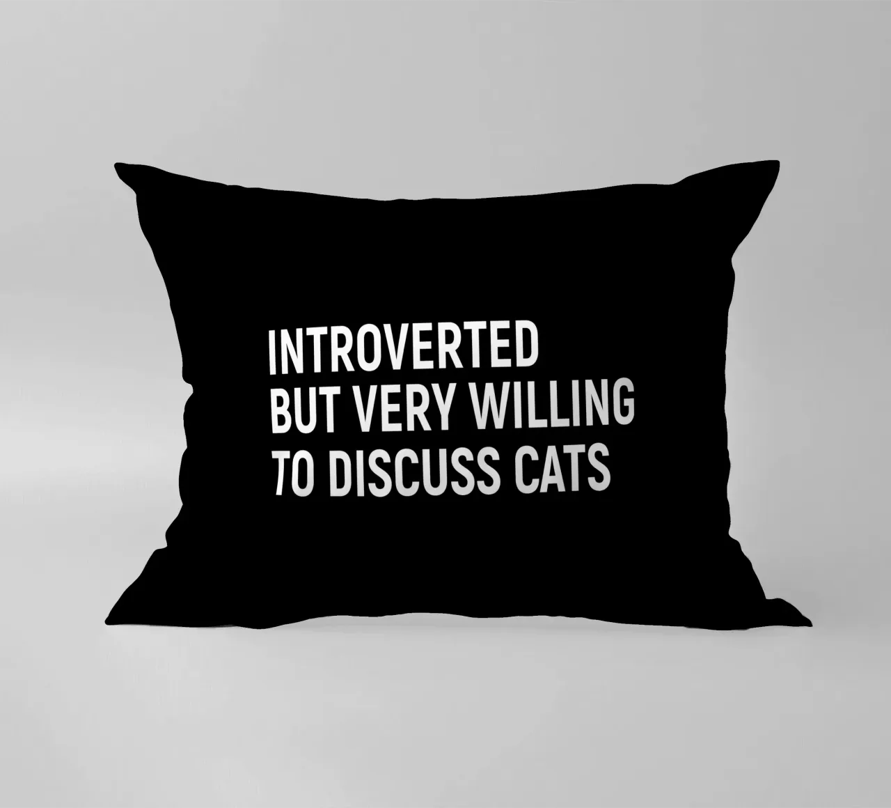 Introverted but very willing to discuss cats coussin de happieeagle