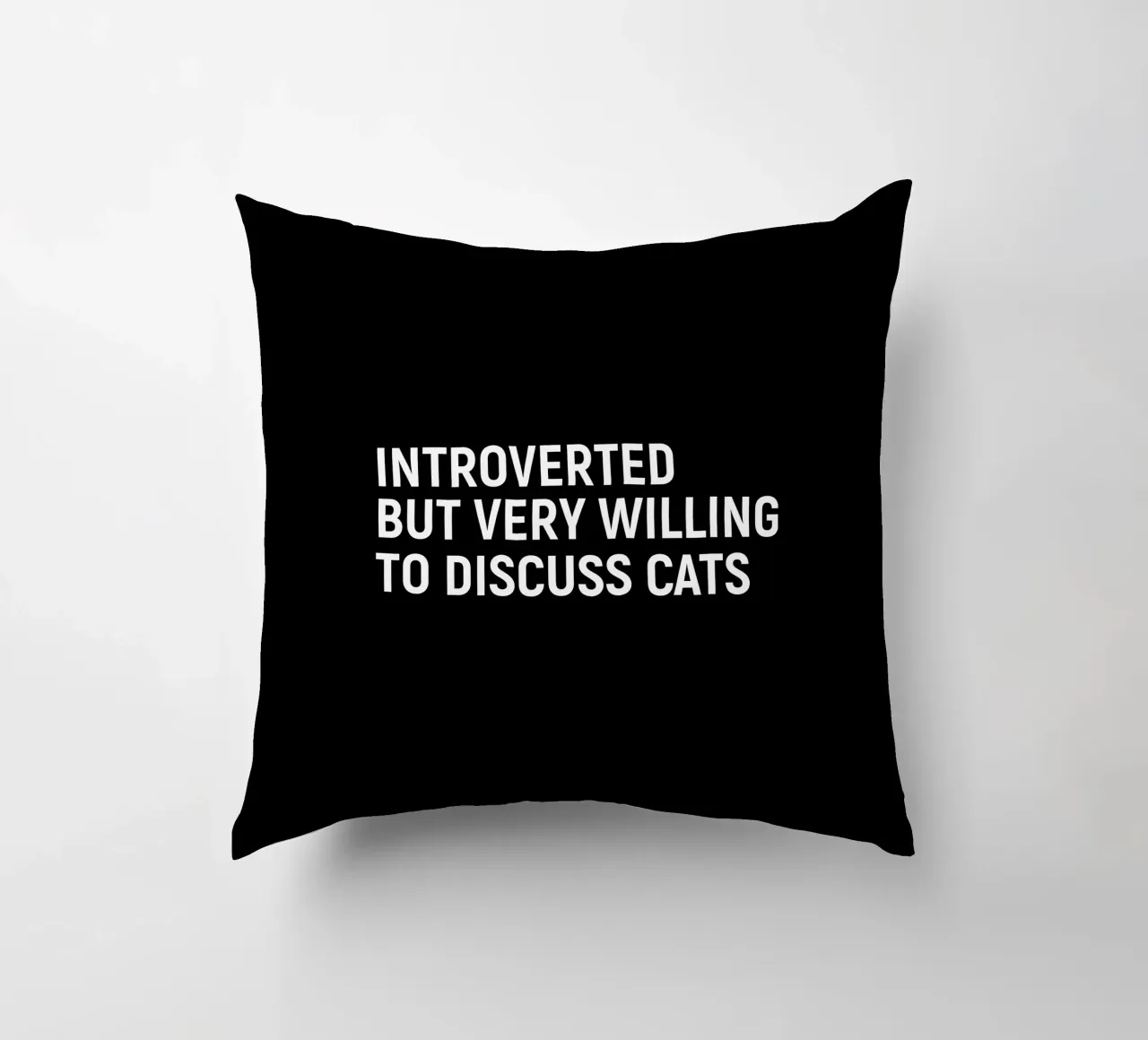 Introverted but very willing to discuss cats kussen van happieeagle