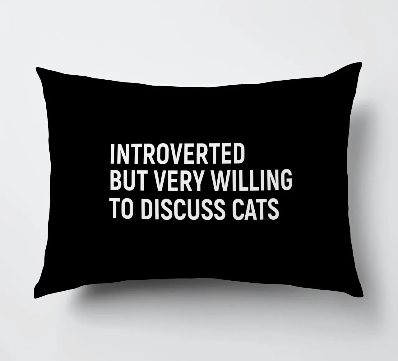 Introverted but very willing to discuss cats cuscino da happieeagle