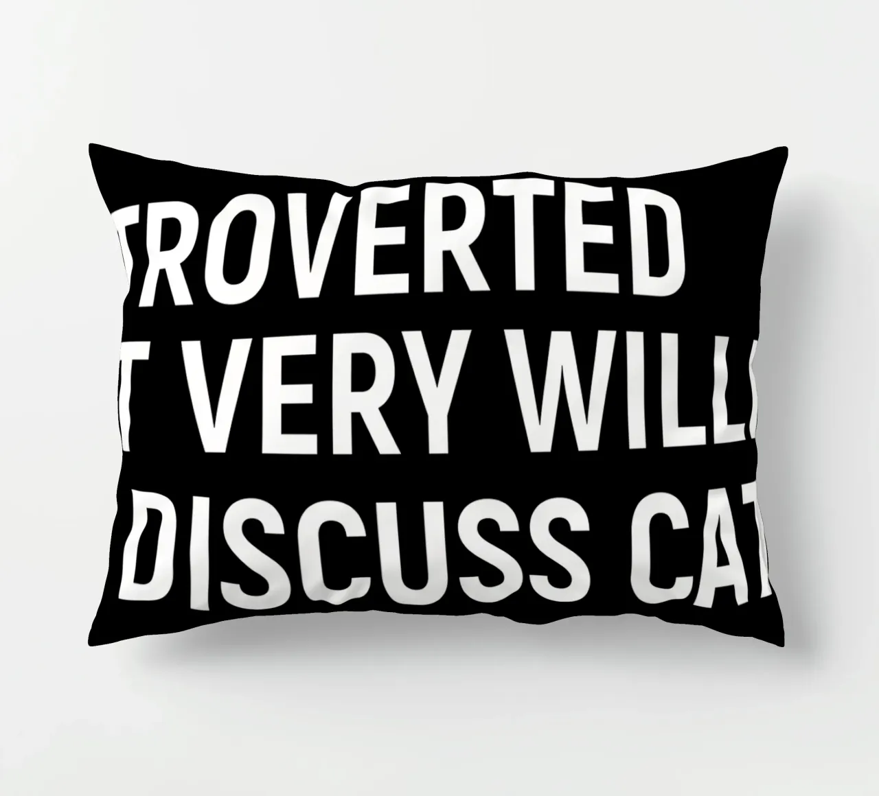 Introverted but very willing to discuss cats cuscino da happieeagle