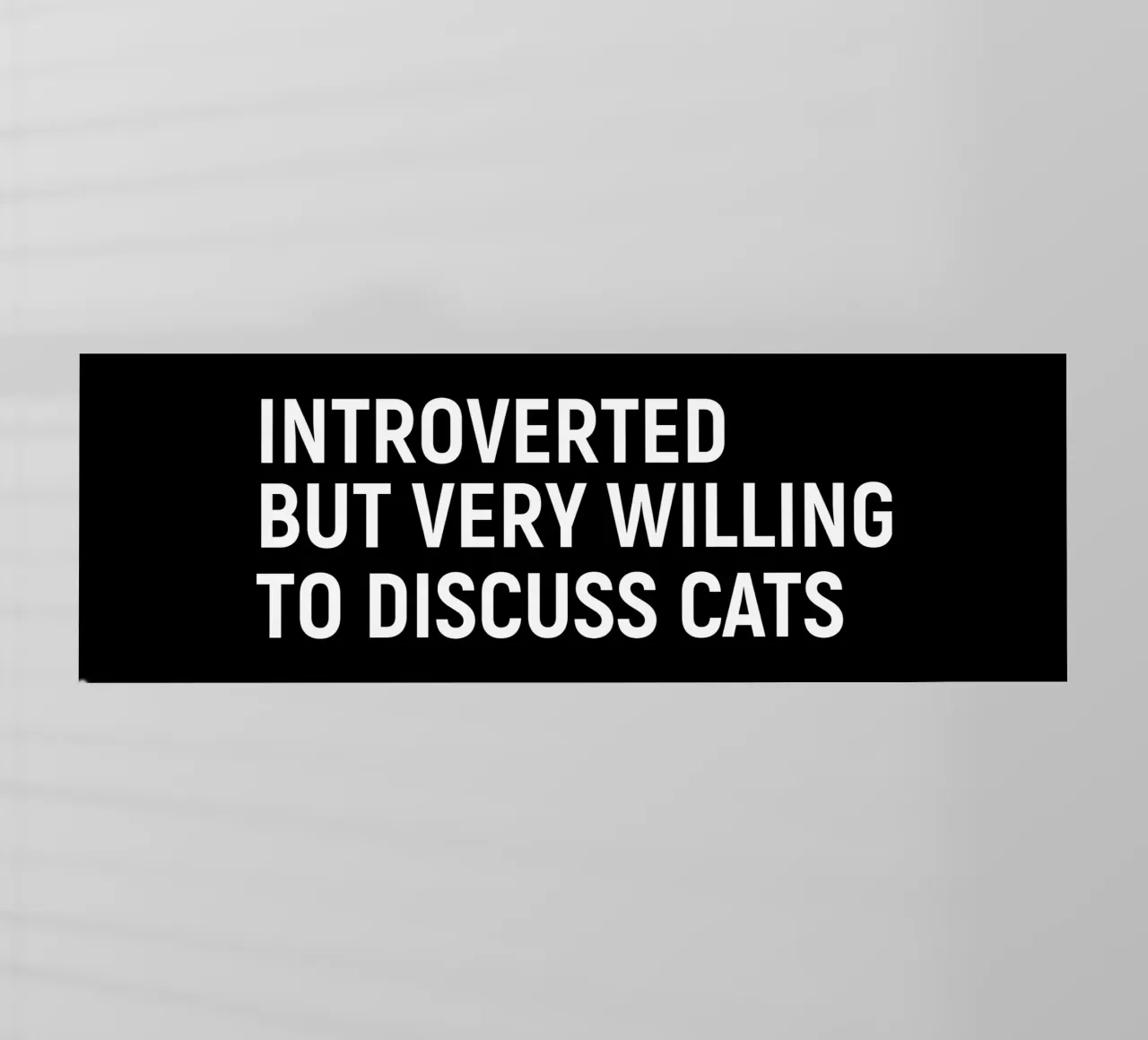 Introverted but very willing to discuss cats backlit folie van happieeagle