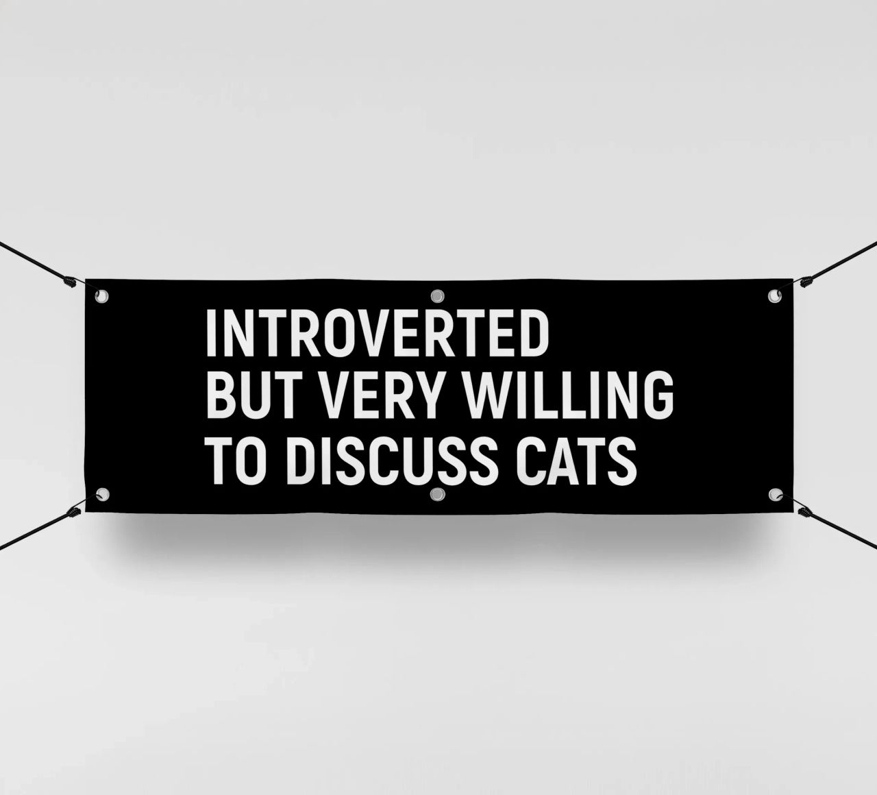 Introverted but very willing to discuss cats telo in pvc da happieeagle