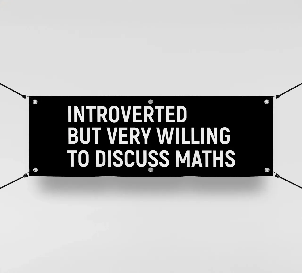 Introverted but very willing to discuss maths PVC Plane von happieeagle