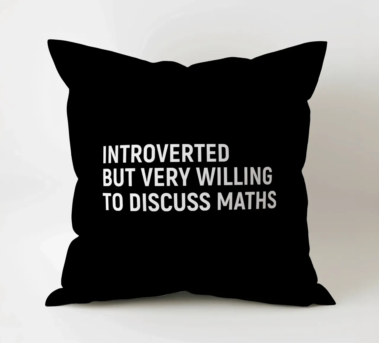 Introverted but very willing to discuss maths cuscino da happieeagle