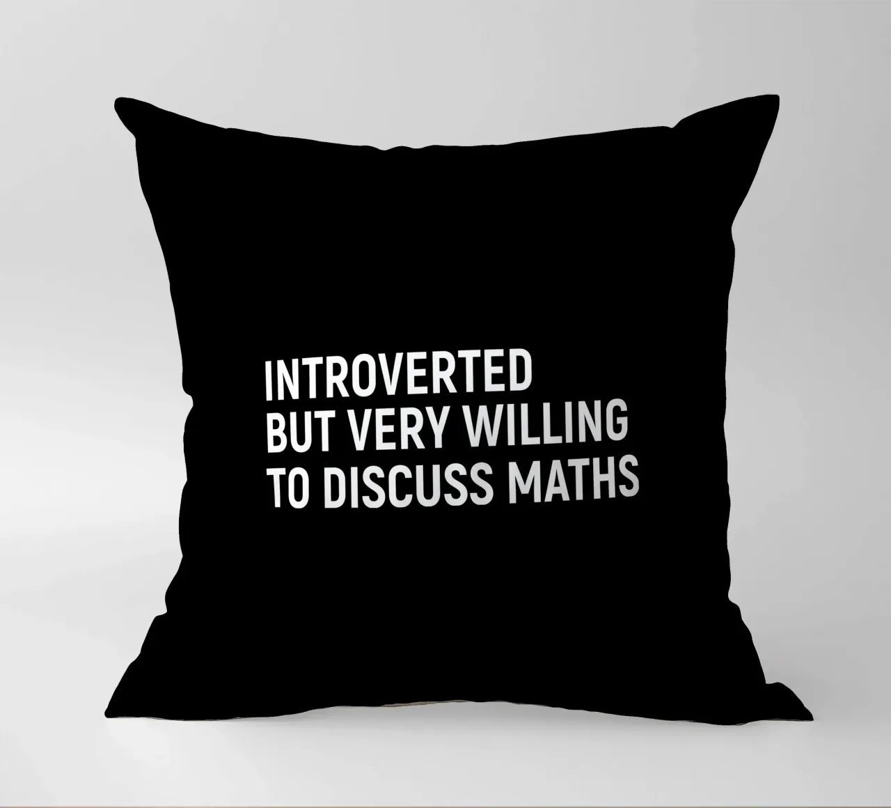 Introverted but very willing to discuss maths cuscino da happieeagle