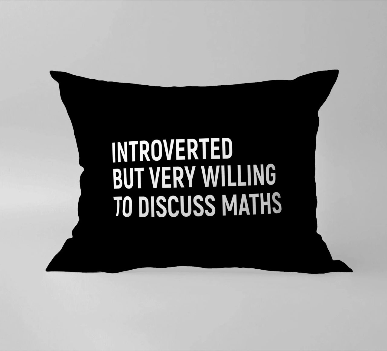 Introverted but very willing to discuss maths cuscino da happieeagle