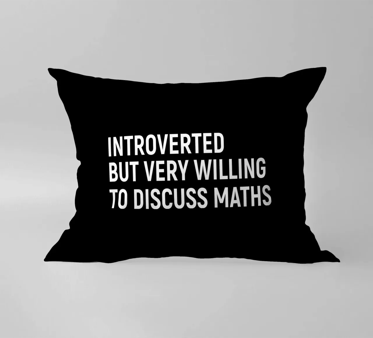 Introverted but very willing to discuss maths cuscino da happieeagle