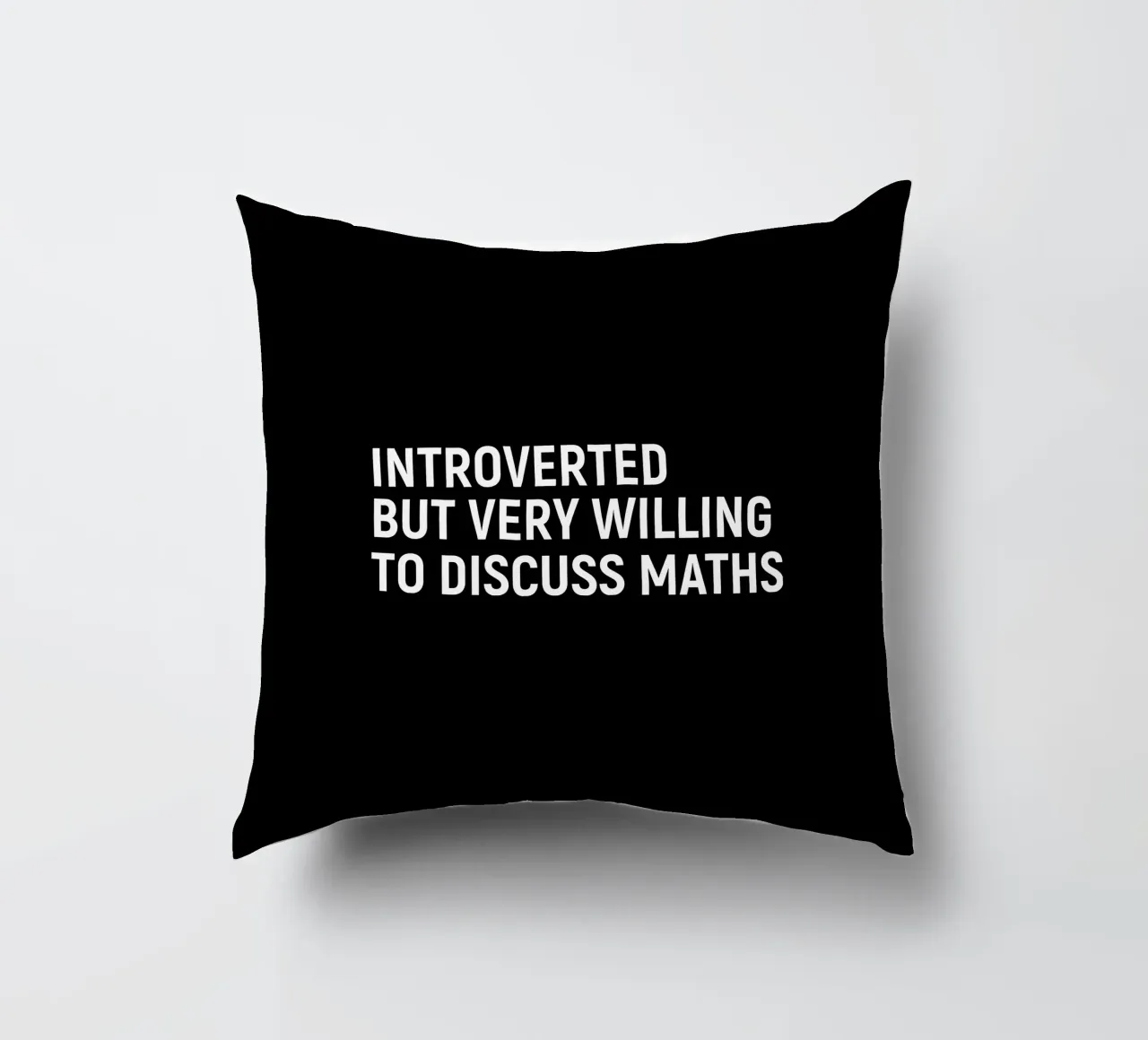 Introverted but very willing to discuss maths coussin de happieeagle