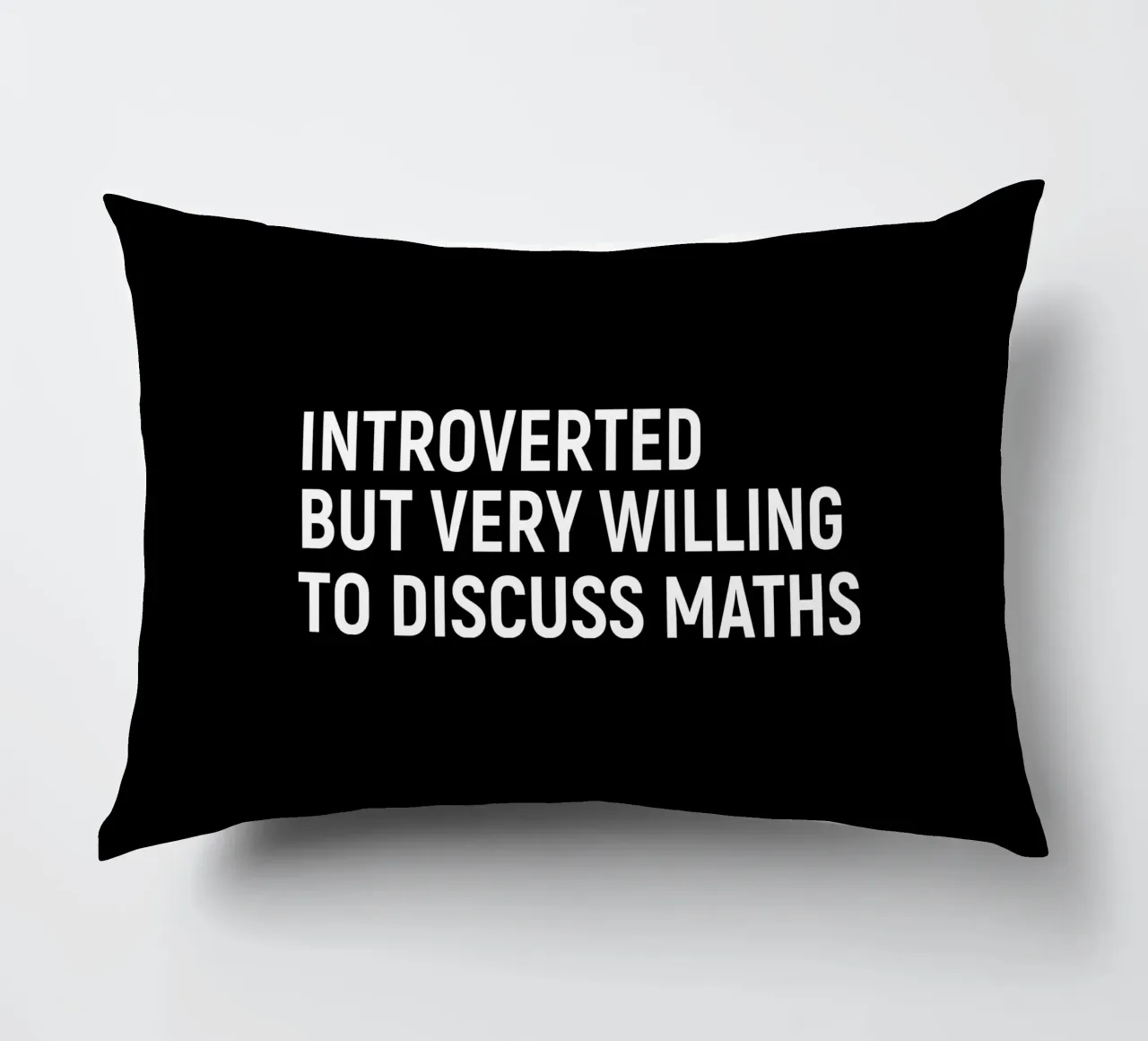 Introverted but very willing to discuss maths coussin de happieeagle
