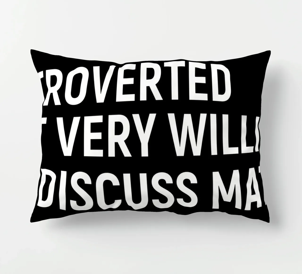 Introverted but very willing to discuss maths cuscino da happieeagle