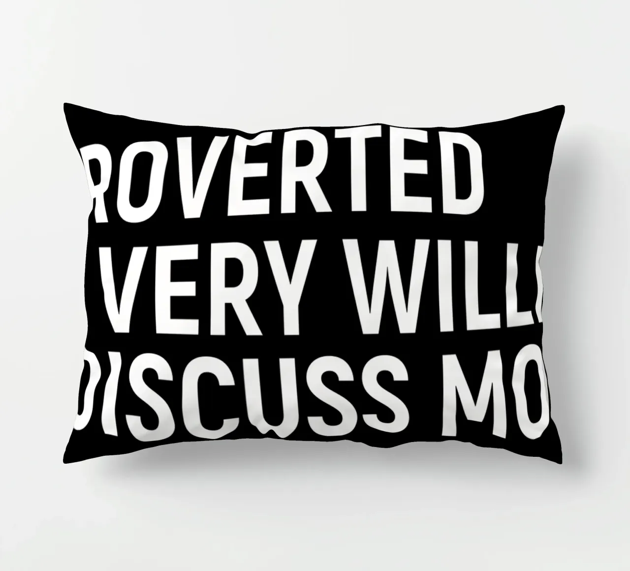Introverted but very willing to discuss money Kissen von happieeagle