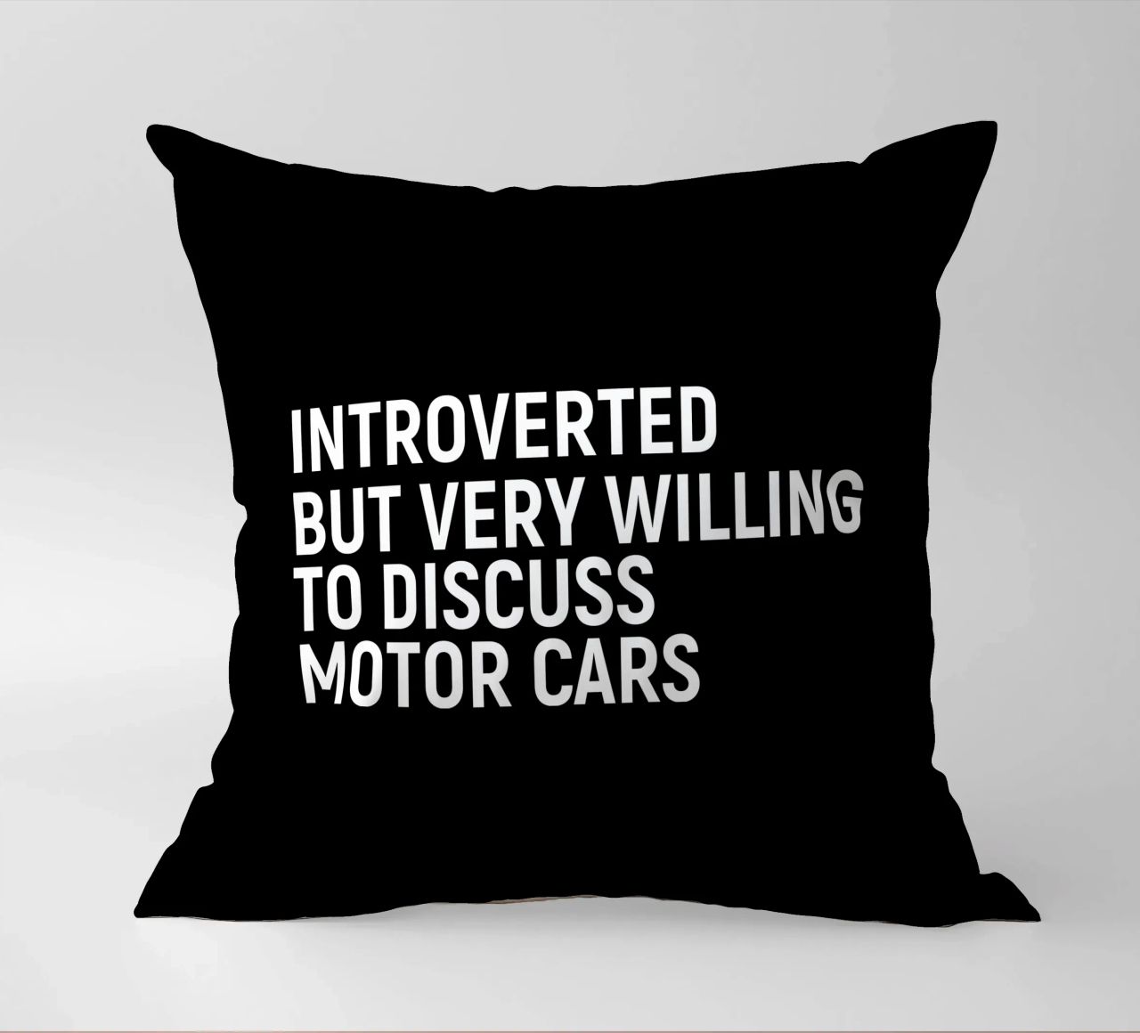 Introverted but very willing to discuss motor cars cuscino da happieeagle