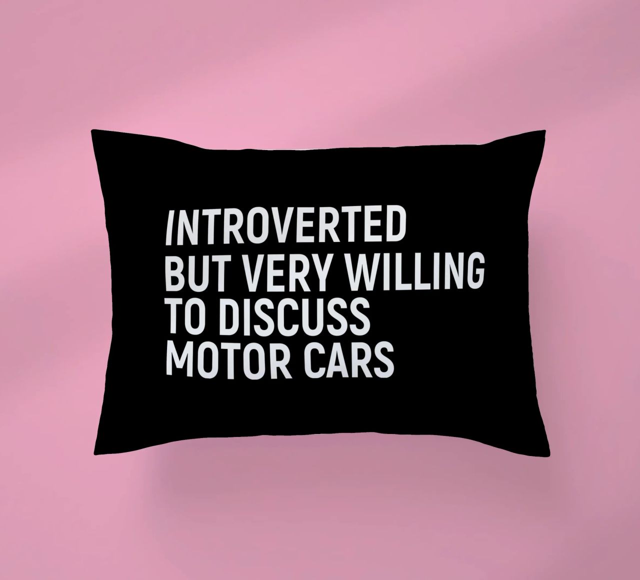 Introverted but very willing to discuss motor cars cuscino da happieeagle