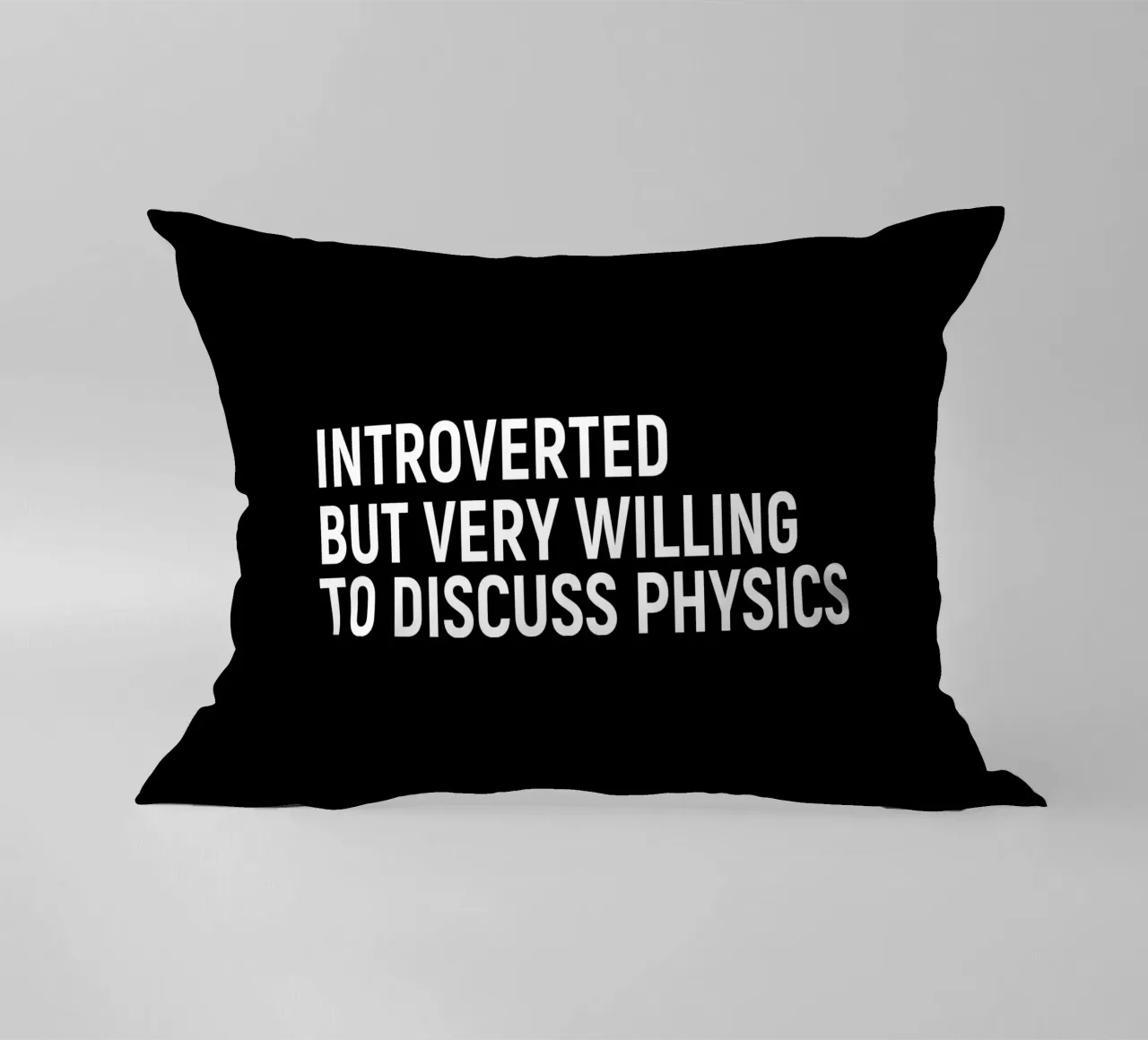 Introverted but very willing to discuss physics Kissen von happieeagle