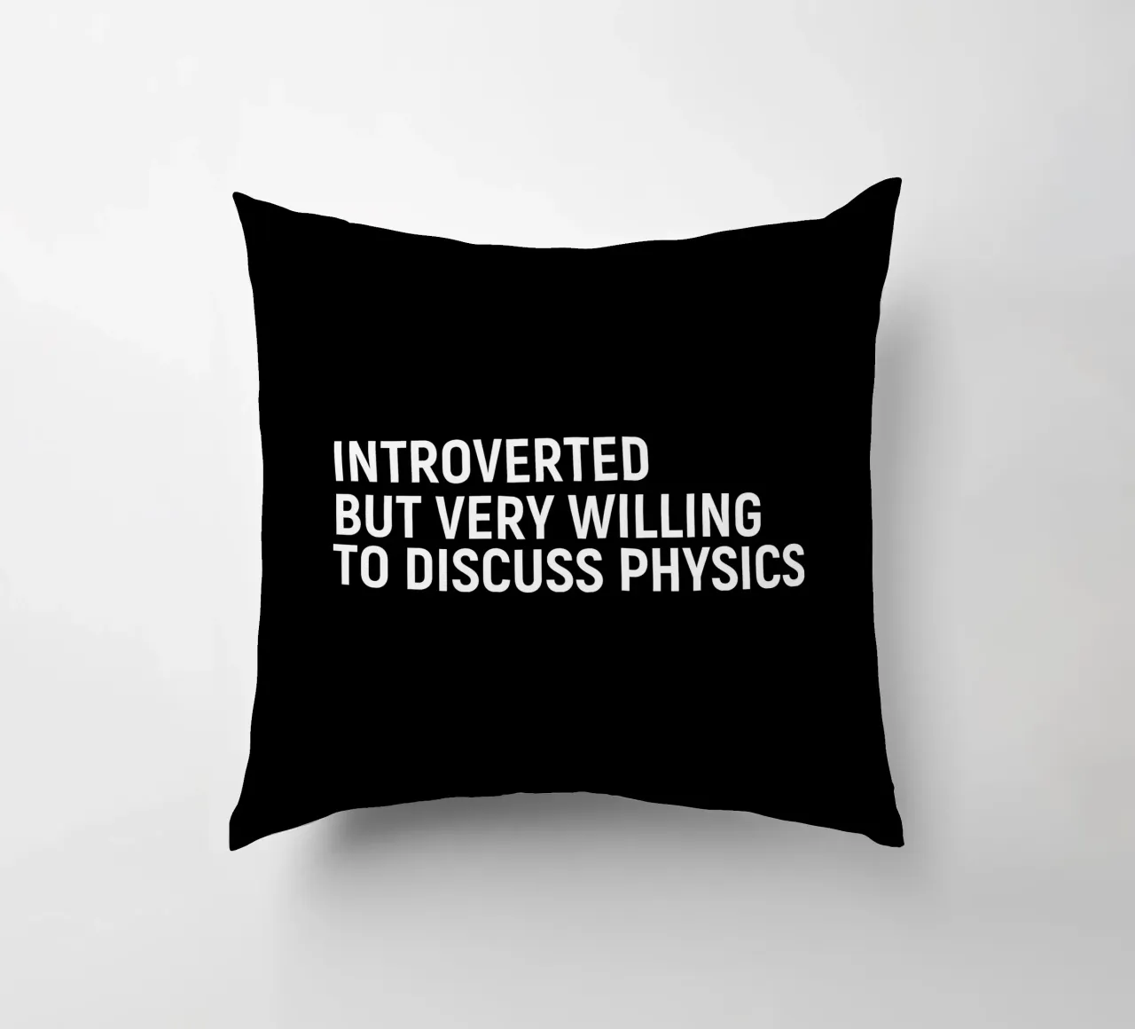 Introverted but very willing to discuss physics Kissen von happieeagle
