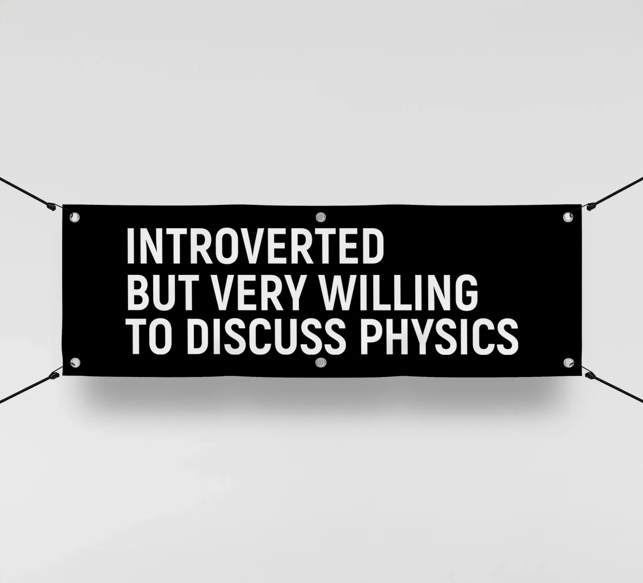 Introverted but very willing to discuss physics PVC Plane von happieeagle